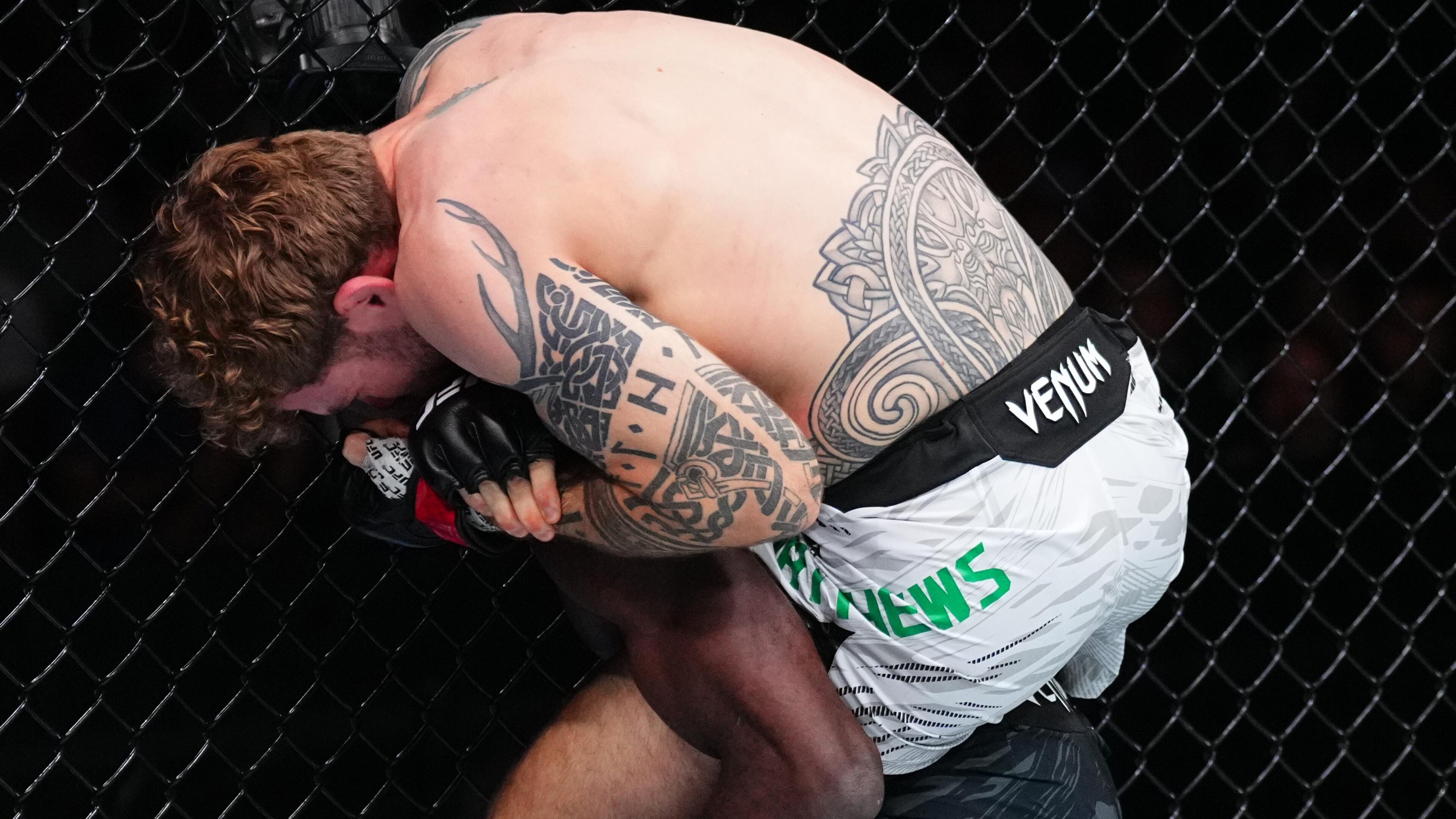UFC Fight Night: Matthews v Njokuani