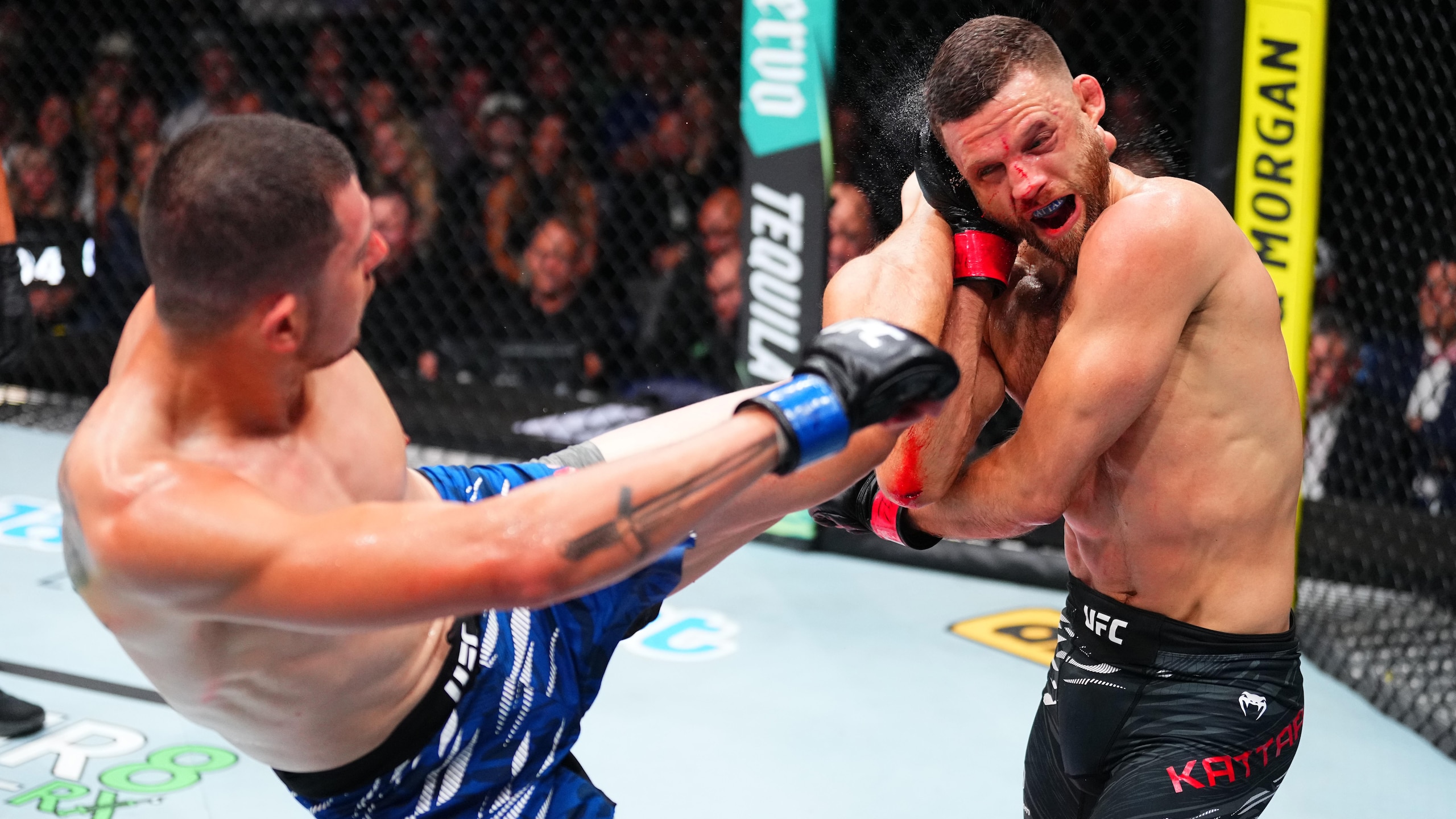 UFC Fight Night: Kattar v Garcia UFC Fight Night: Kattar v Garcia