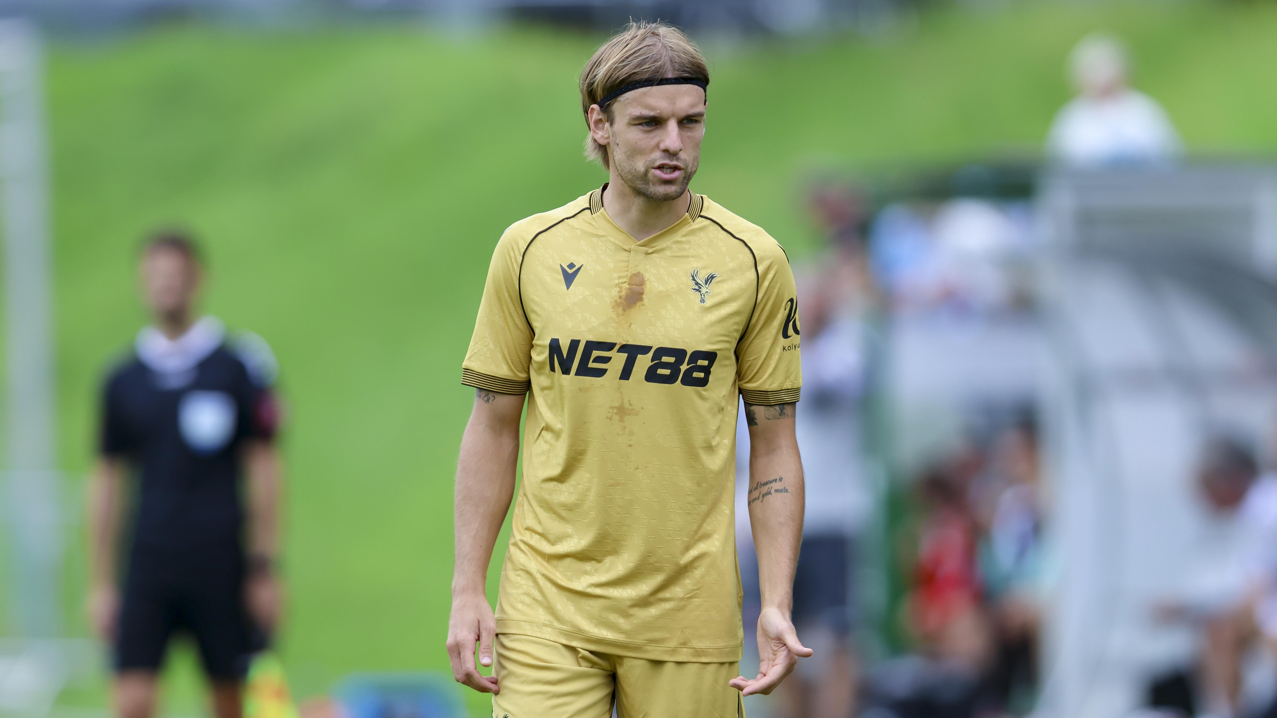 1. FSV Mainz 05 vs Crystal Palace - Pre-Season Friendly