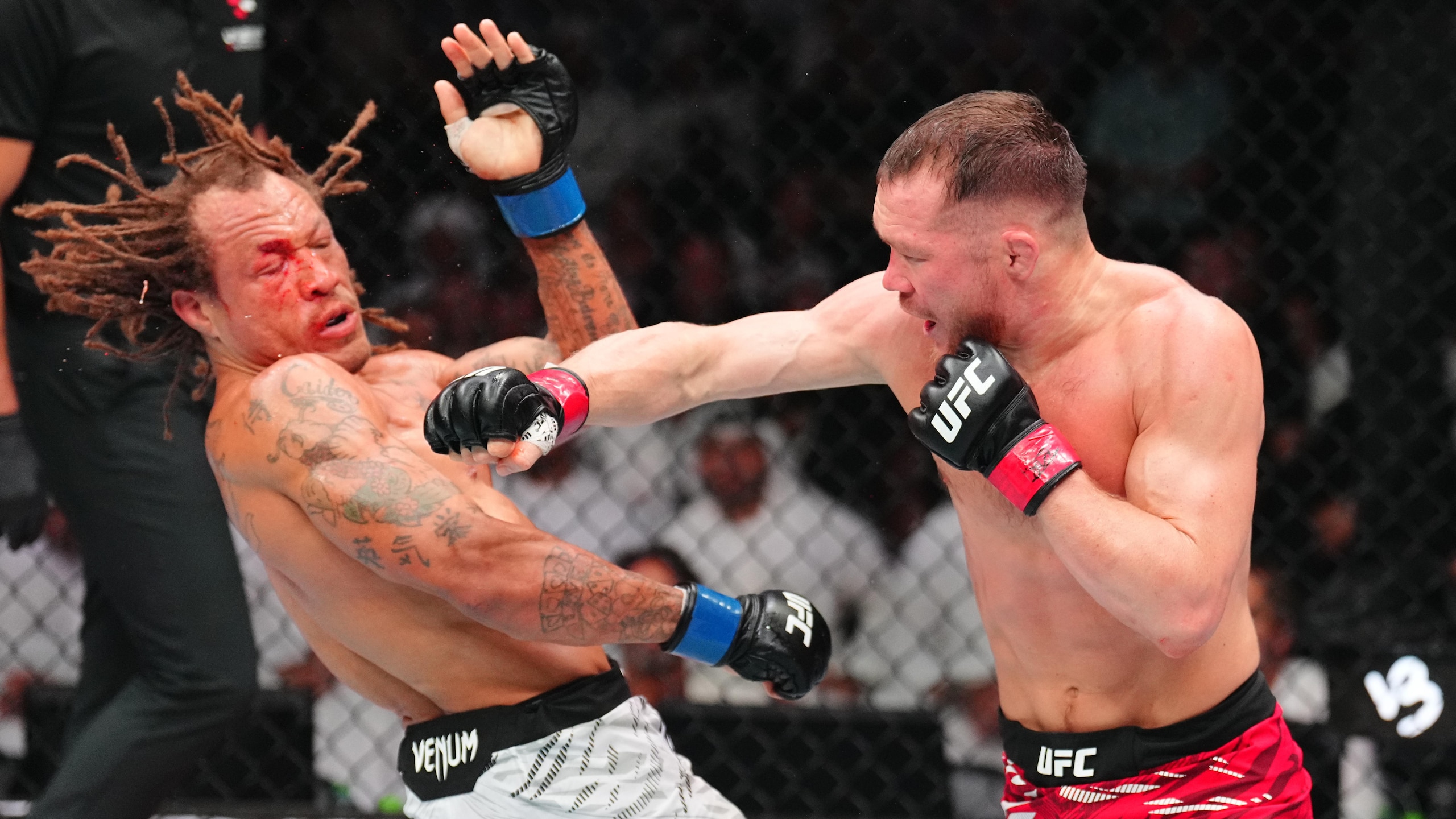 UFC Fight Night: Yan v McGhee