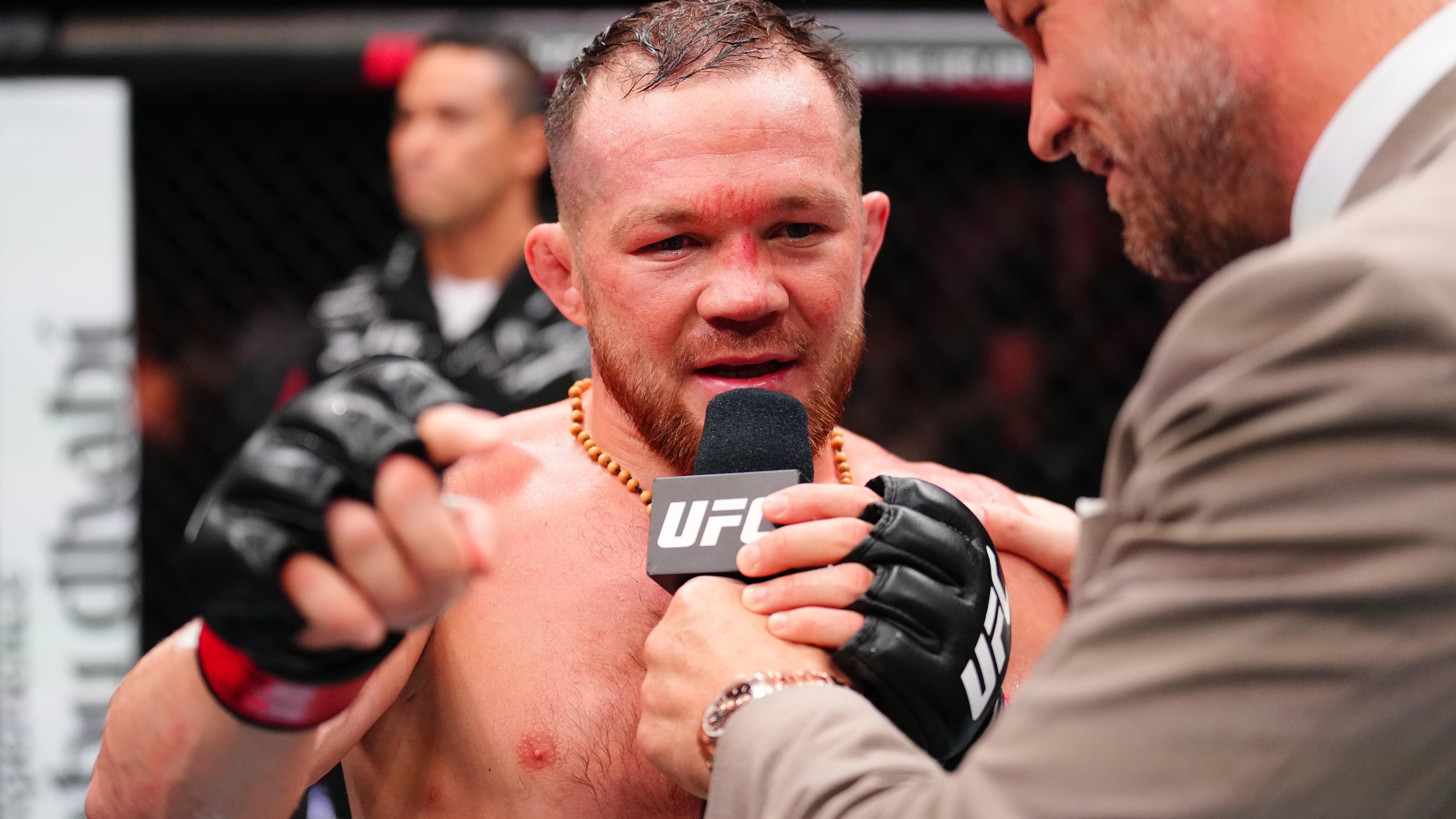 UFC Fight Night: Yan v McGhee