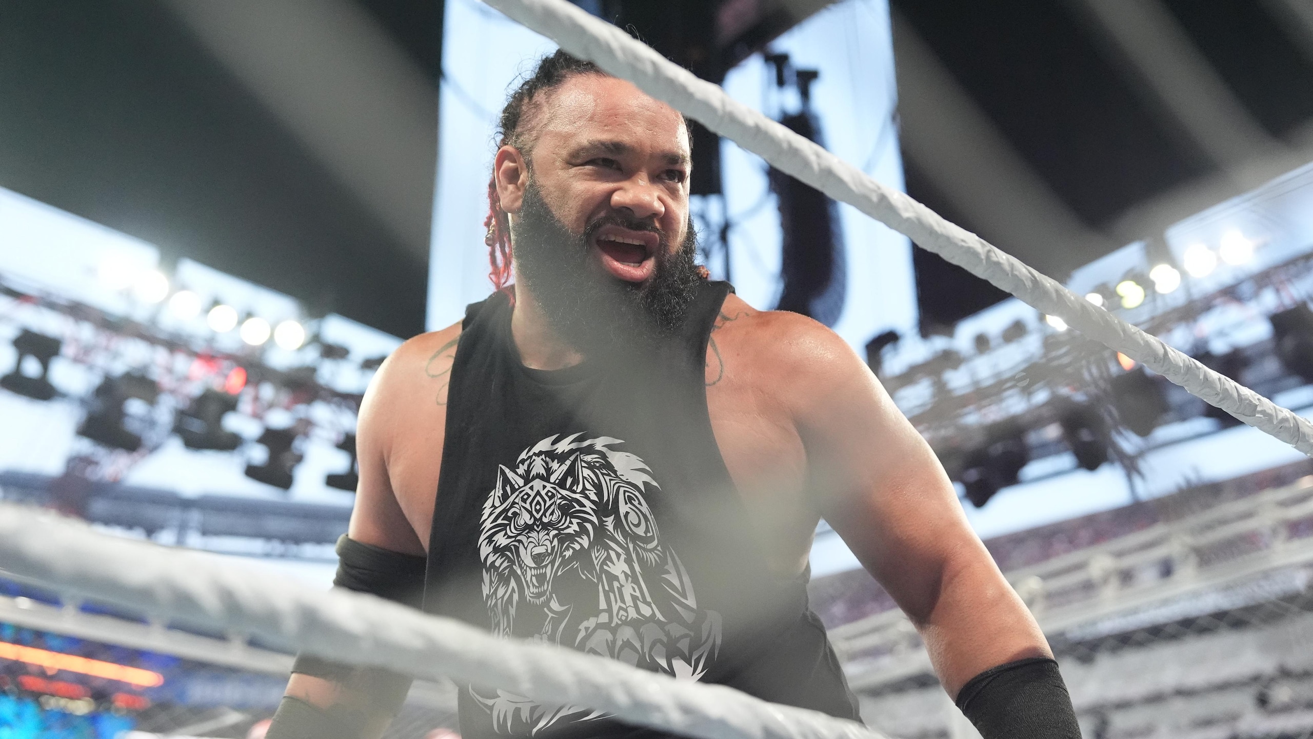 WWE - 2025 SummerSlam