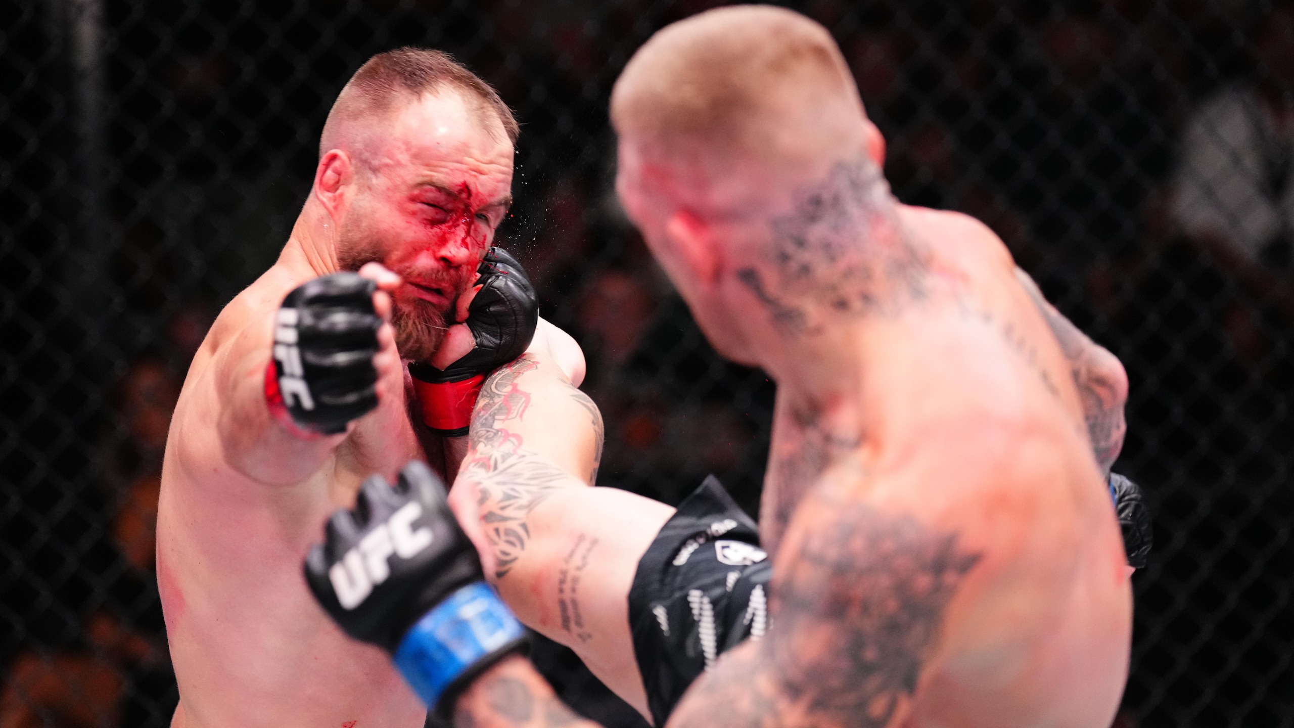 UFC Fight Night: Rebecki v Duncan UFC Fight Night: Rebecki v Duncan