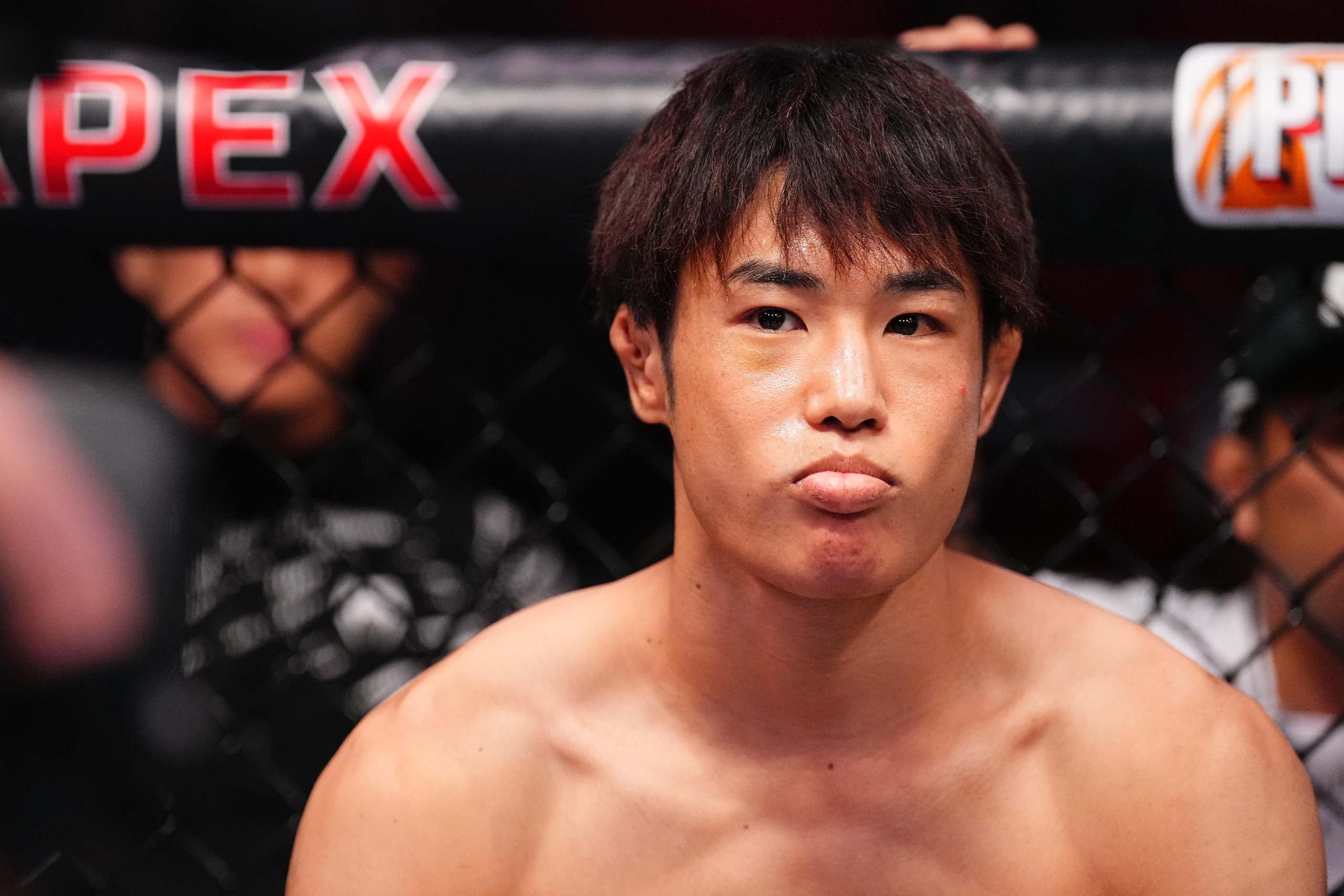 UFC Fight Night: Taira v Park