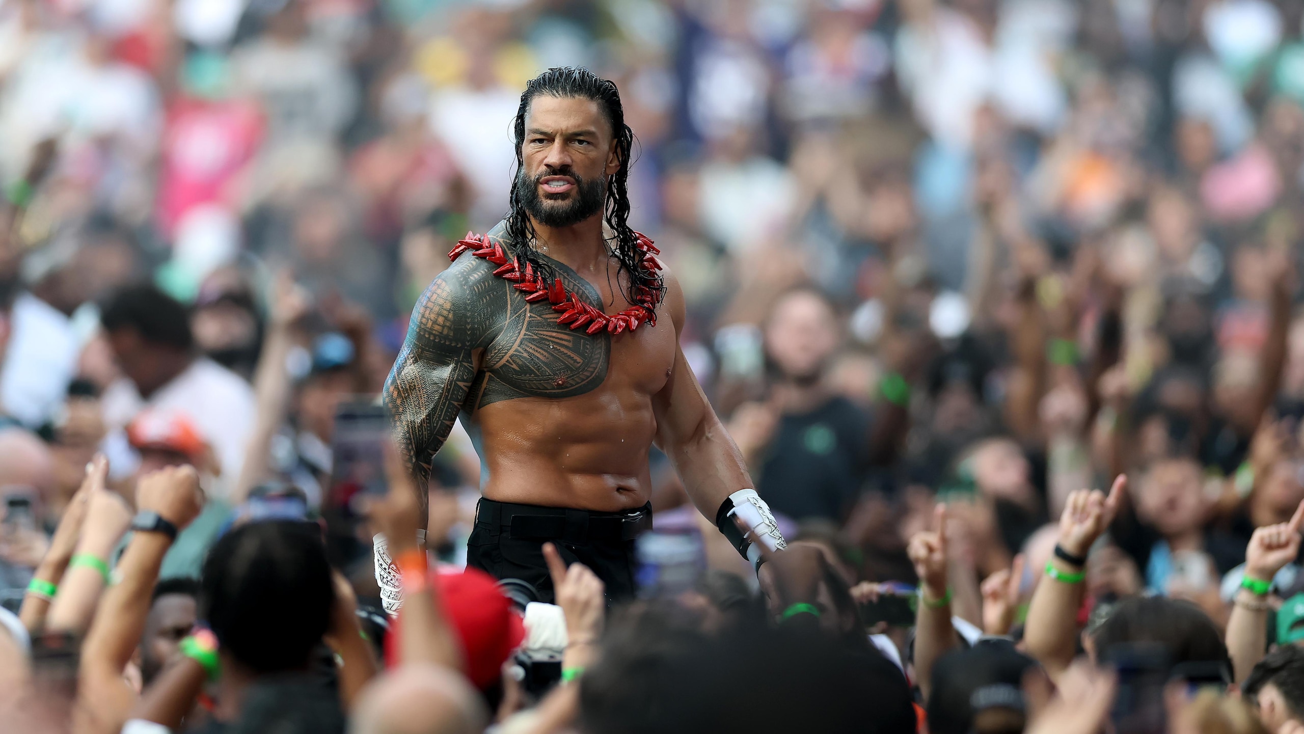 WWE - 2025 SummerSlam