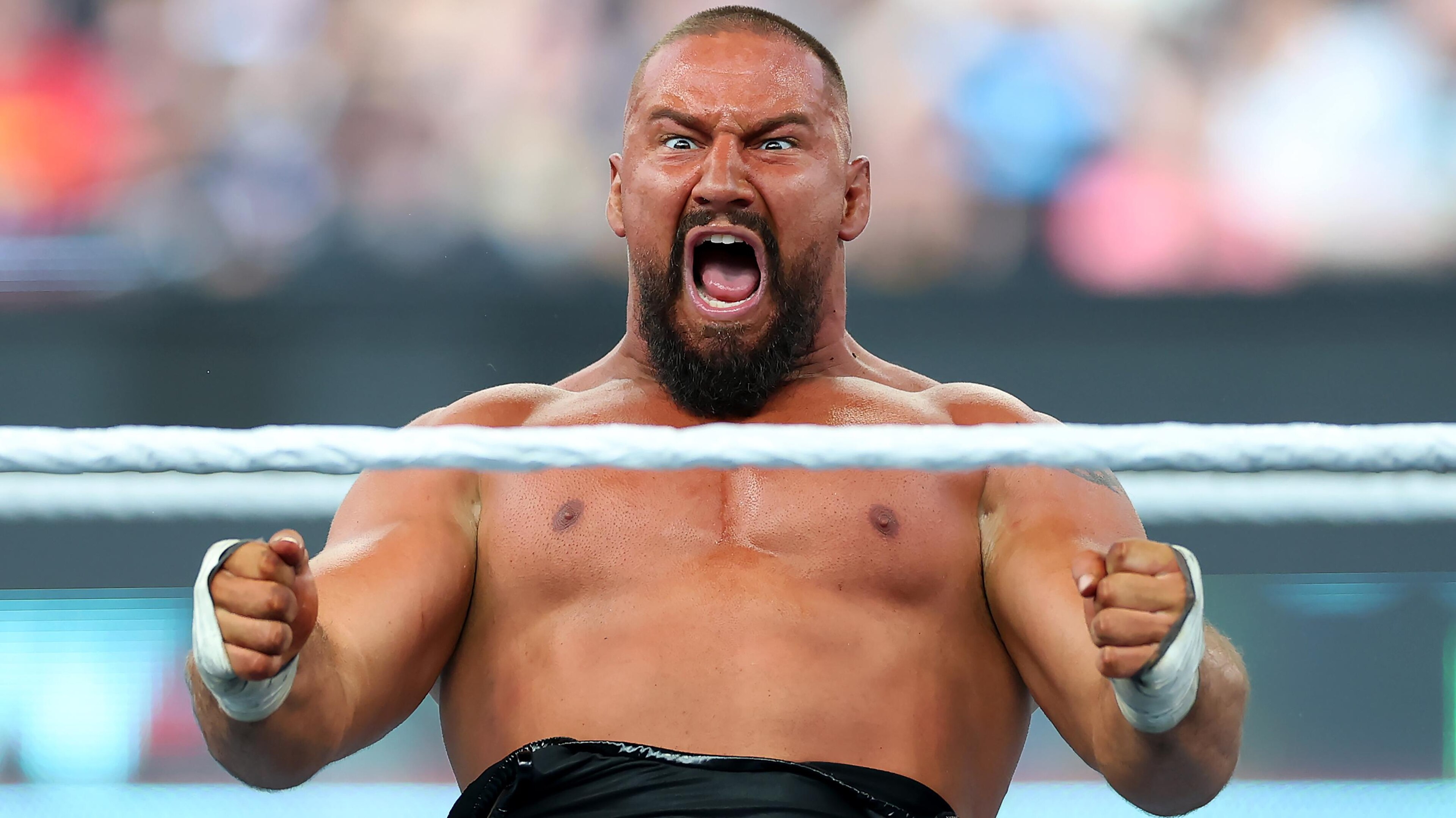 WWE - 2025 SummerSlam