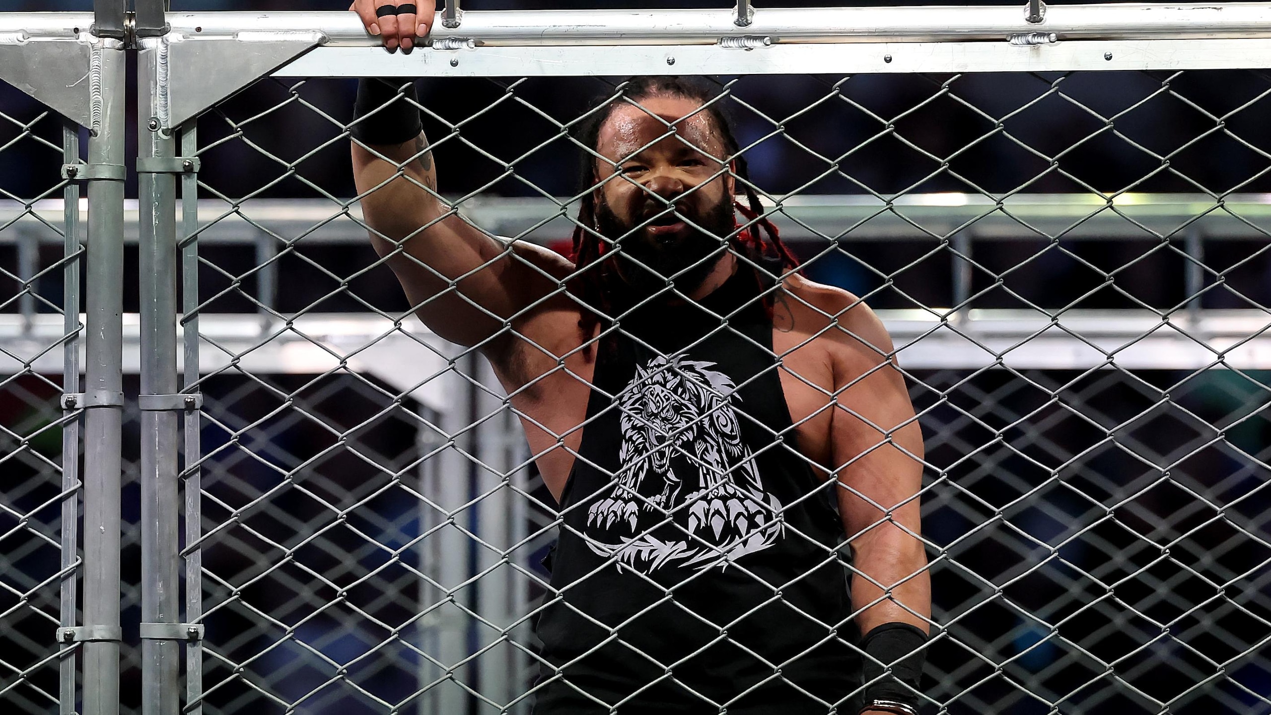 WWE - 2025 SummerSlam