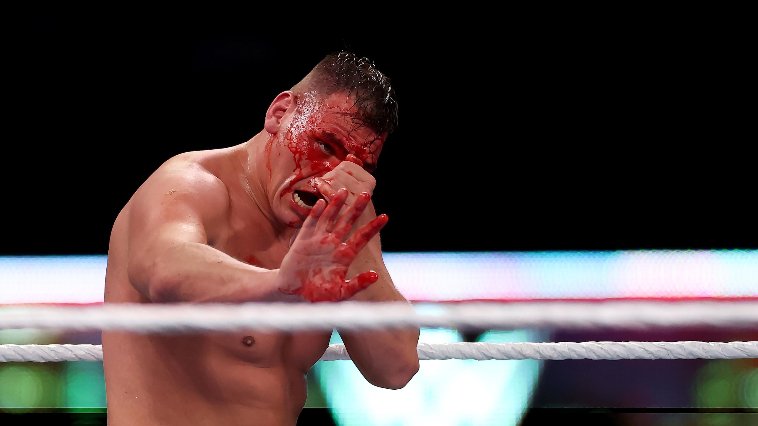 WWE - 2025 SummerSlam