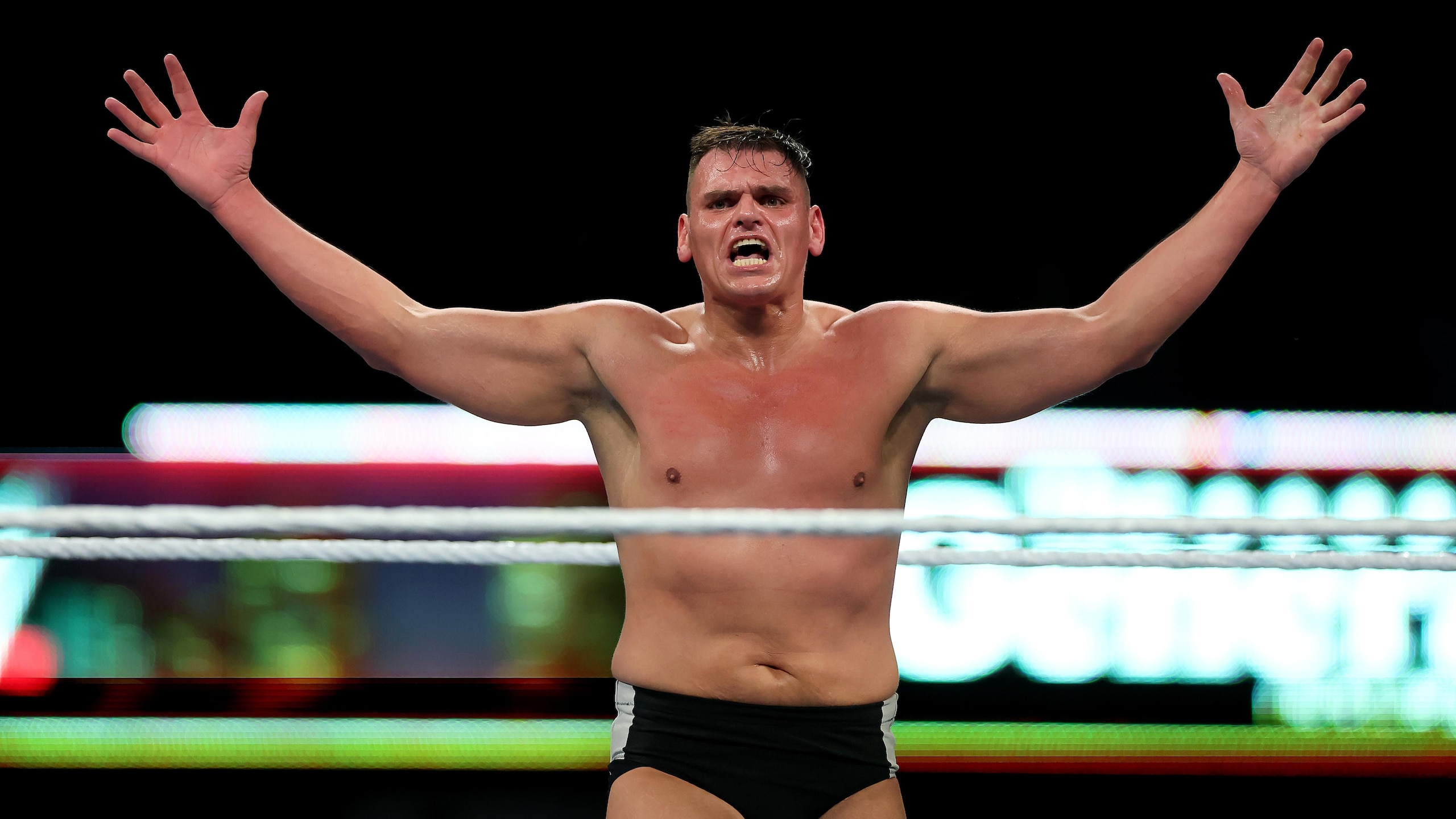 WWE - 2025 SummerSlam