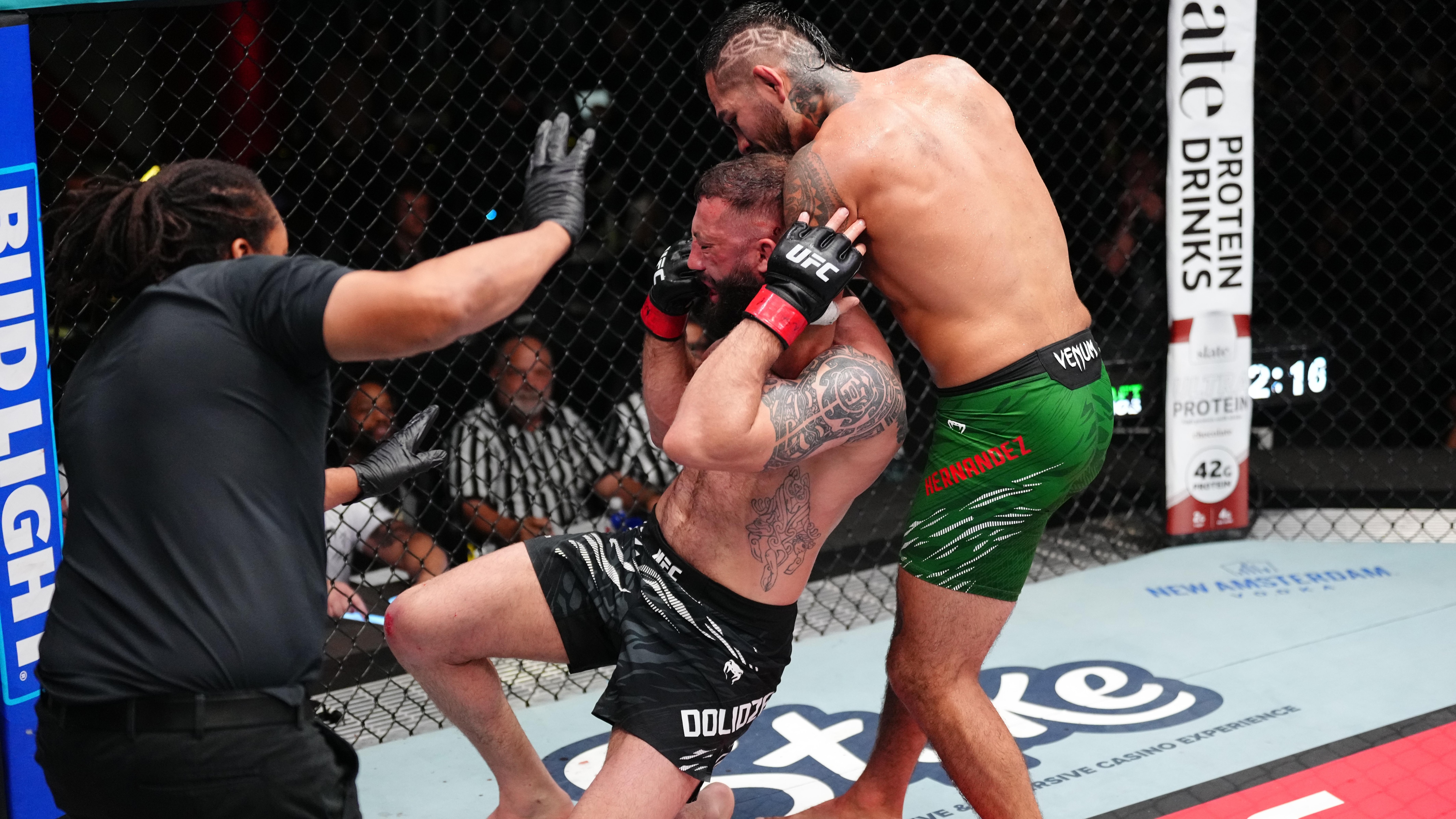 UFC Fight Night: Dolidze v Hernandez