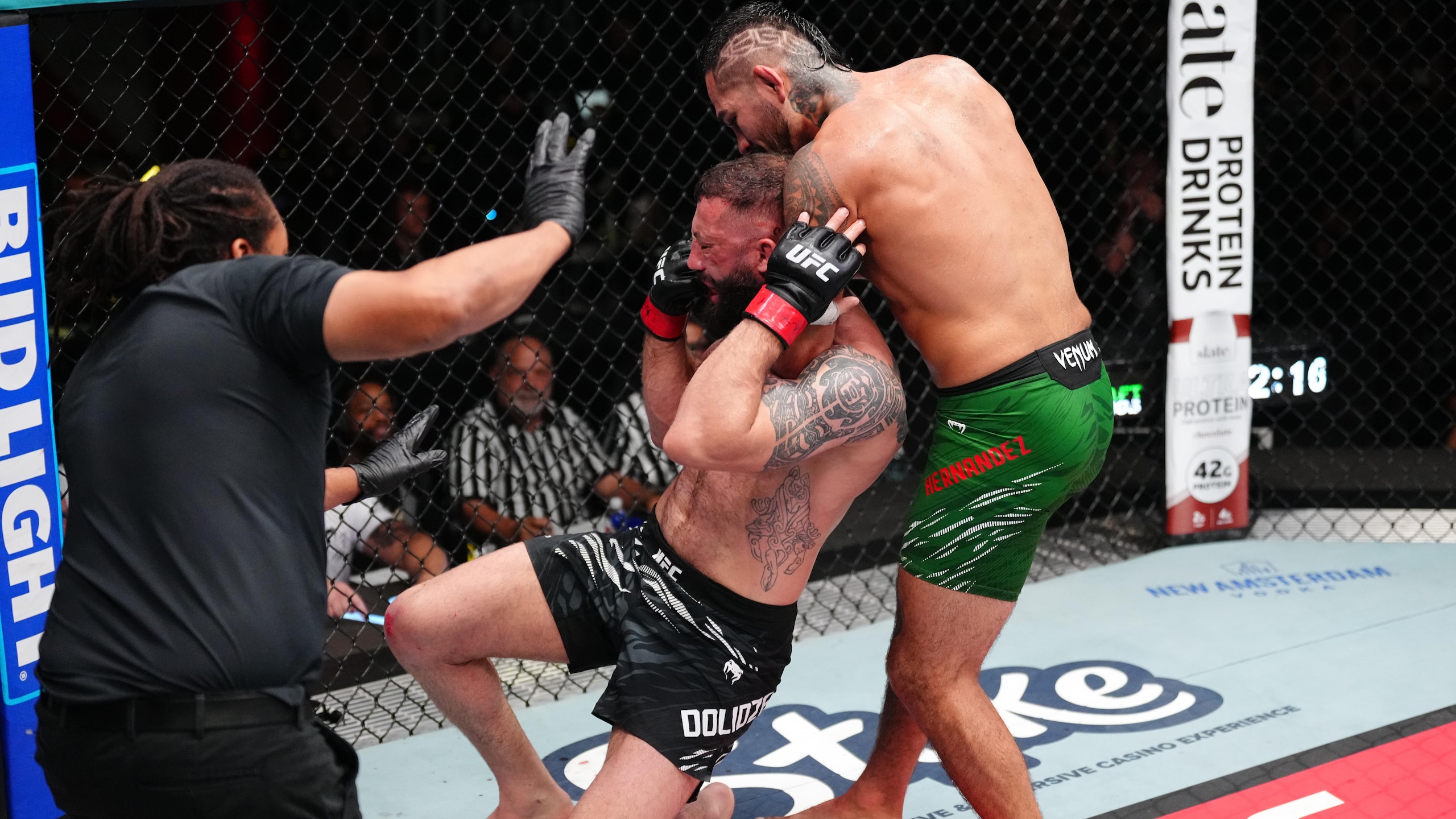 UFC Fight Night: Dolidze v Hernandez