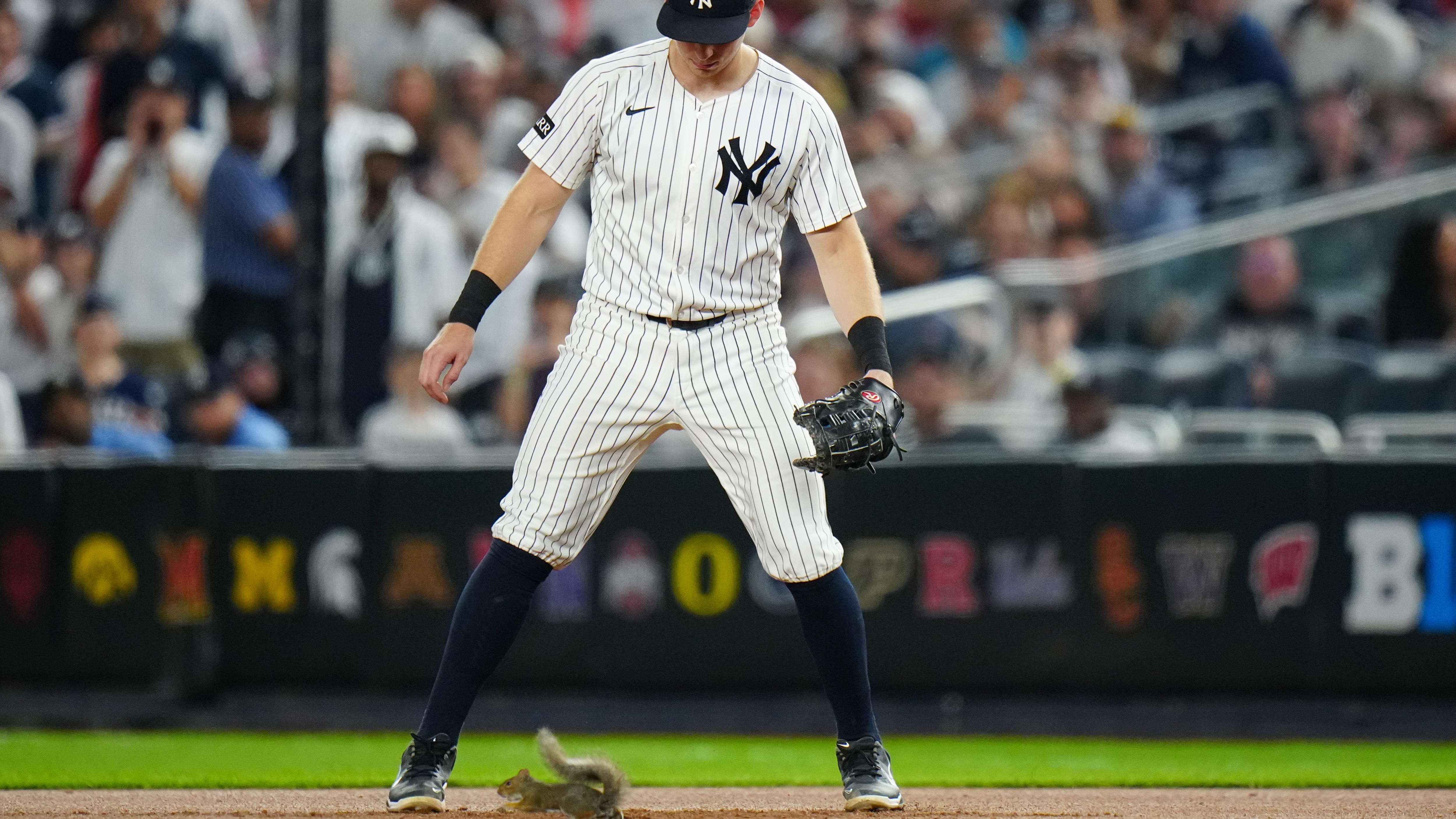 Ben Rice Says Yankees Trolled Him After Squirrel Ran Near Him in Viral Videos