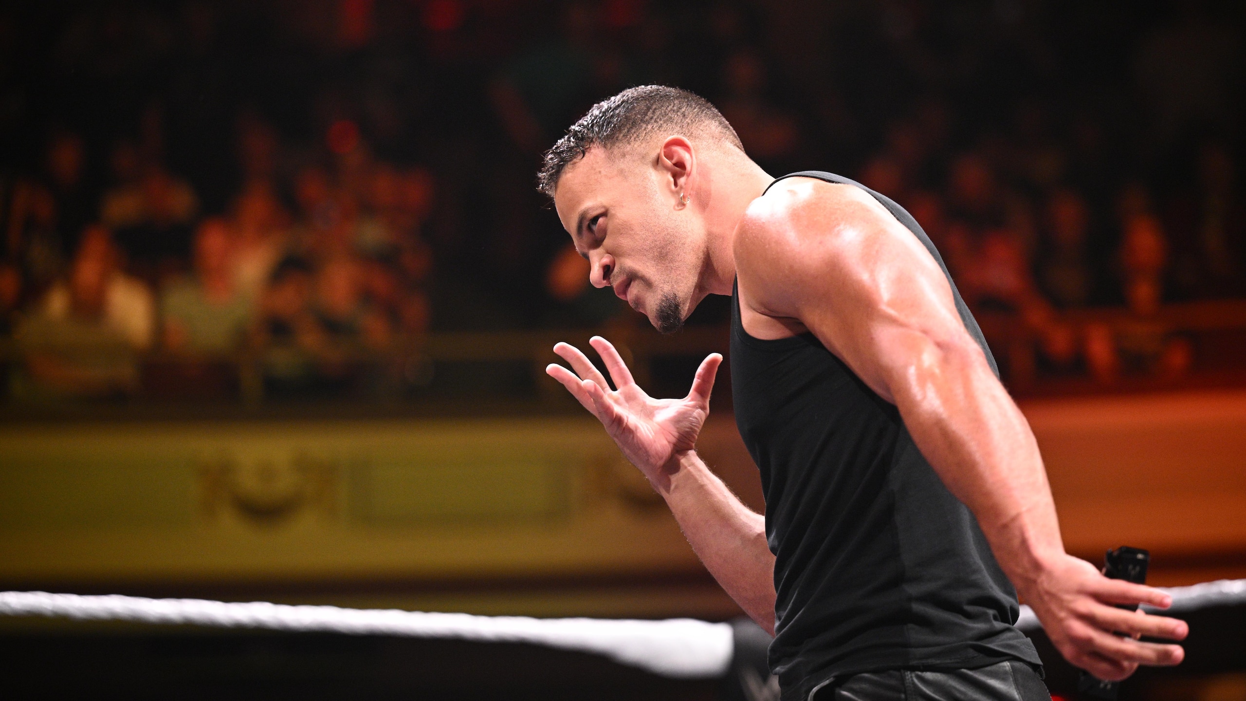 WWE - NXT Heatwave WWE - NXT Heatwave