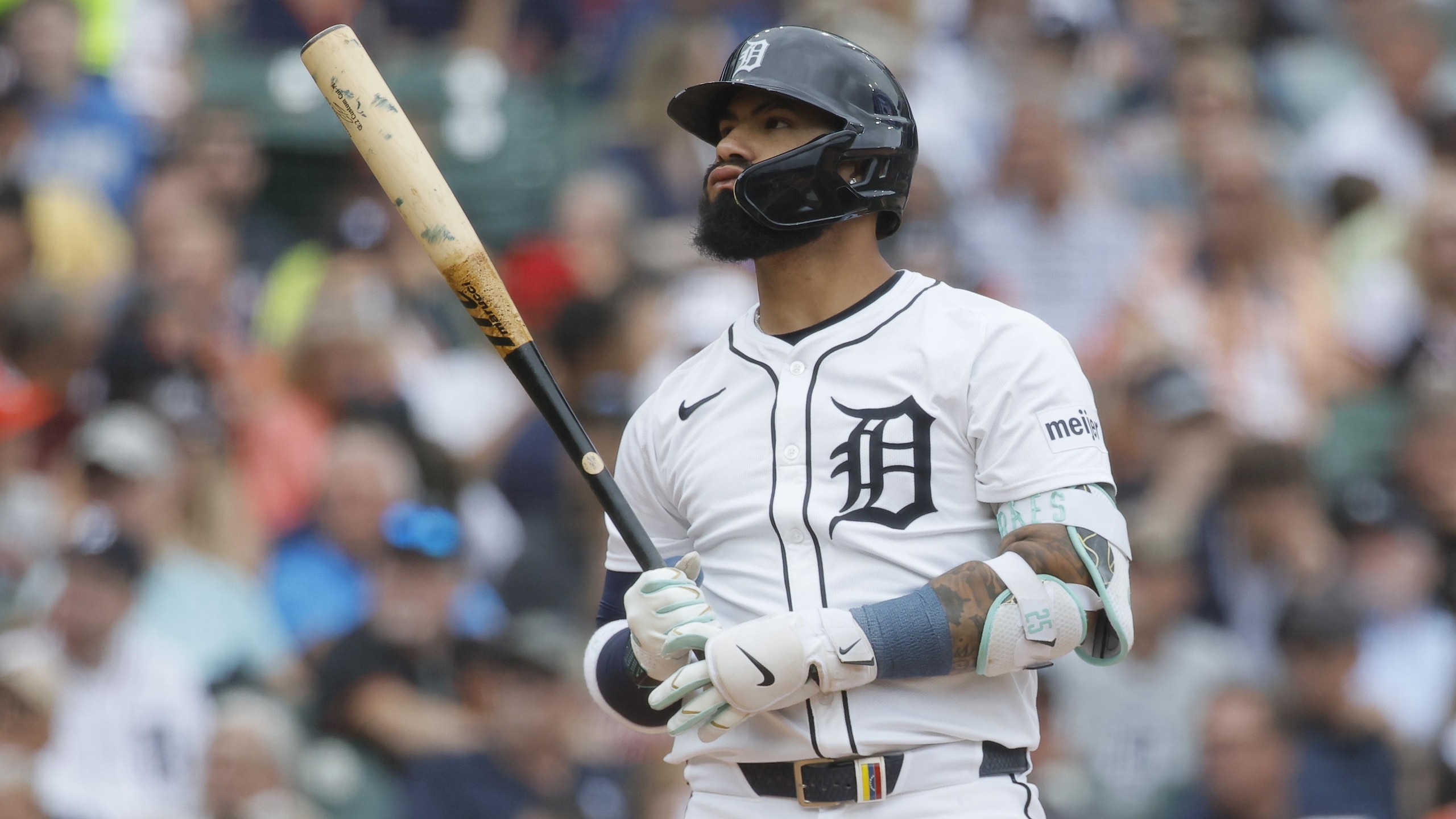 Houston Astros v Detroit Tigers
