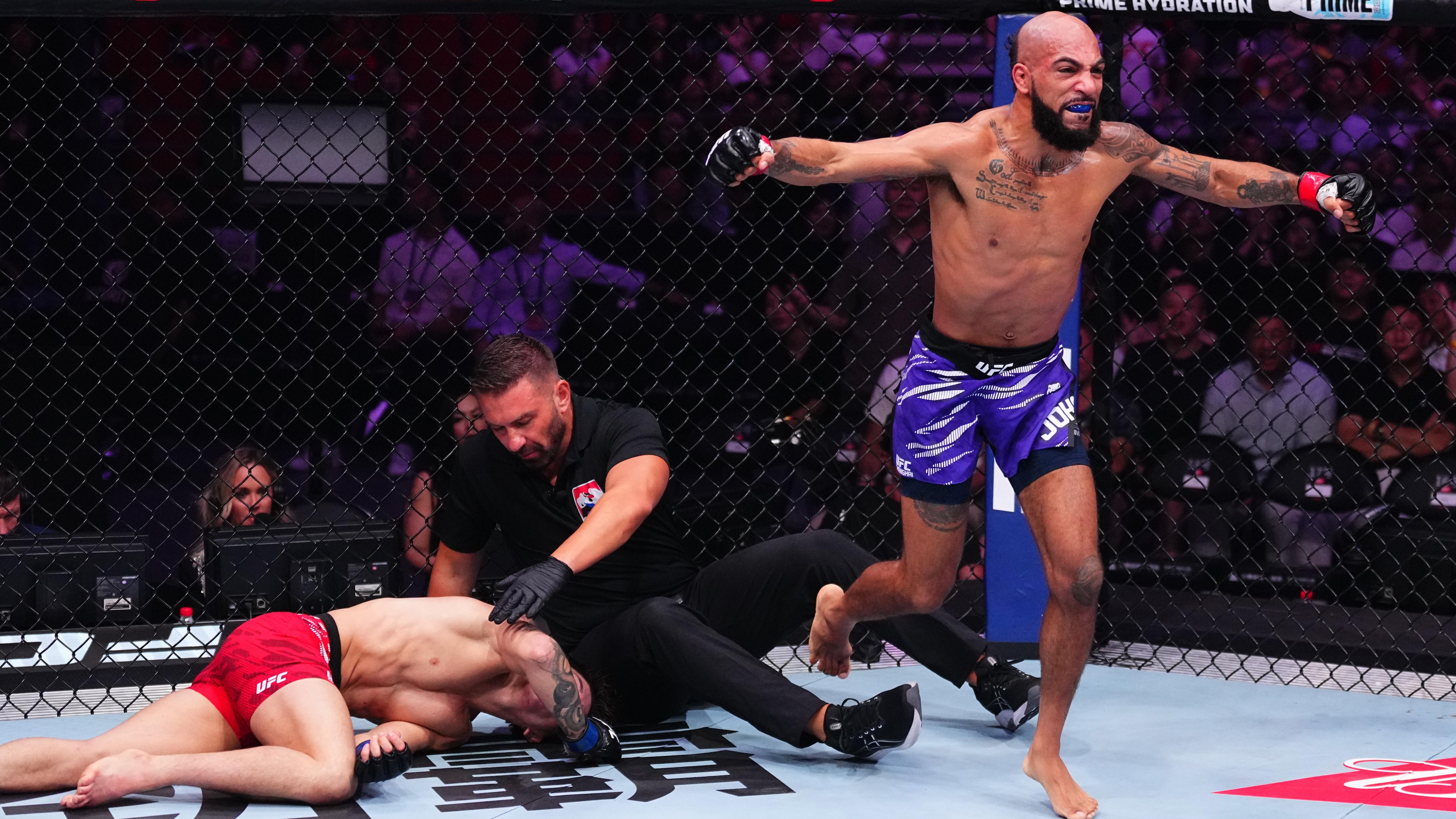 UFC Fight Night: Johnson v Kavanagh