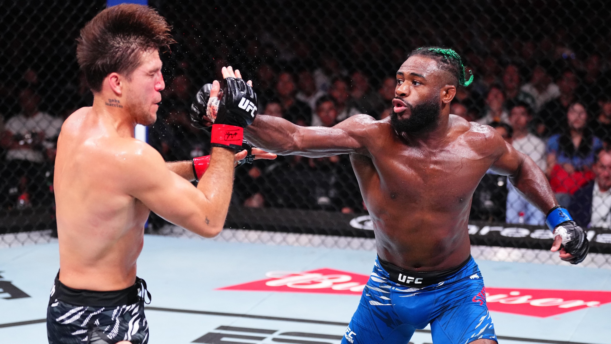 UFC Fight Night: Ortega v Sterling UFC Fight Night: Ortega v Sterling
