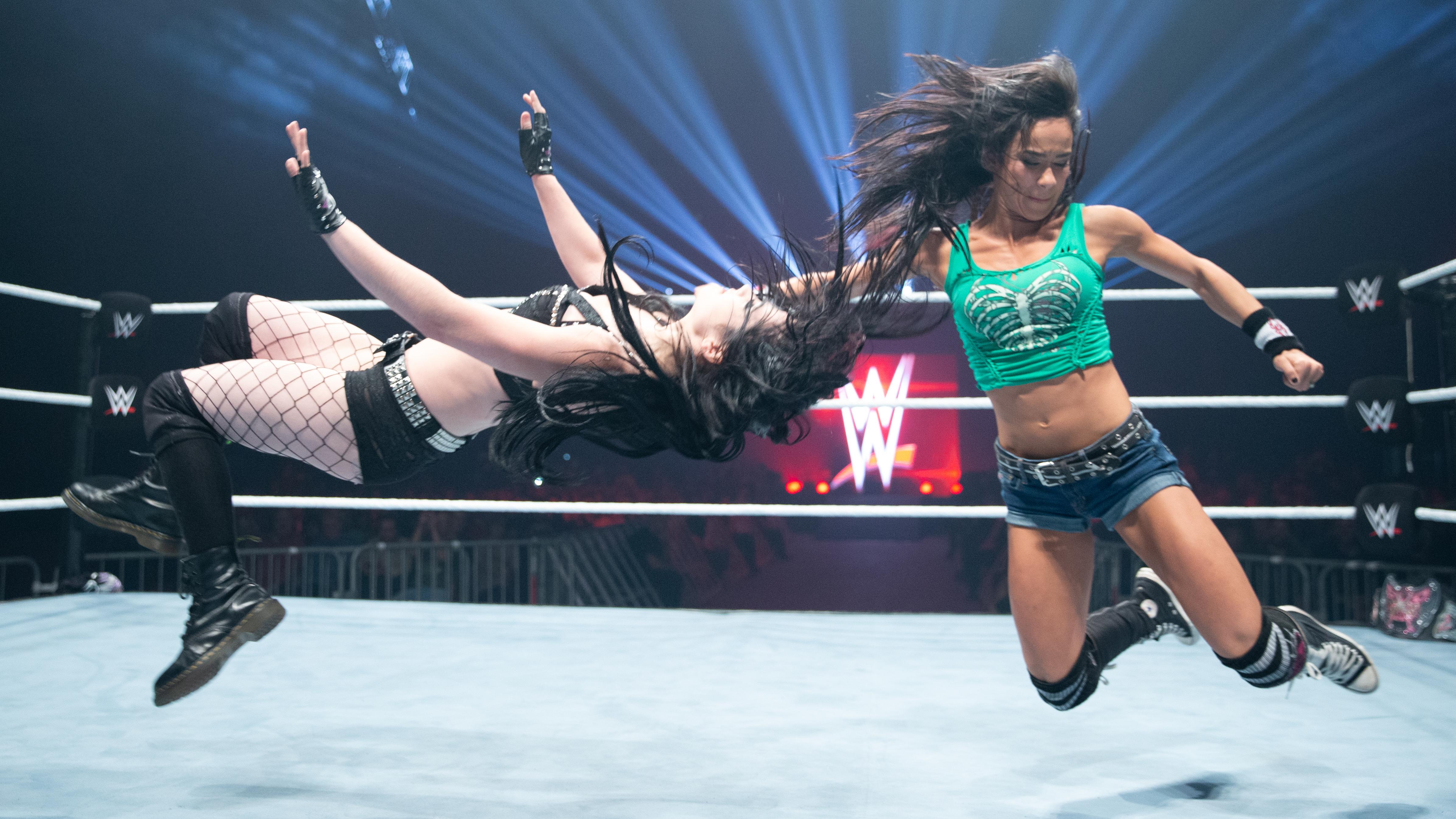 Action Figure Barbecue: Action Figure Review: AJ Lee (Series 53) from WWE  by Mattel, image size:4792x2695