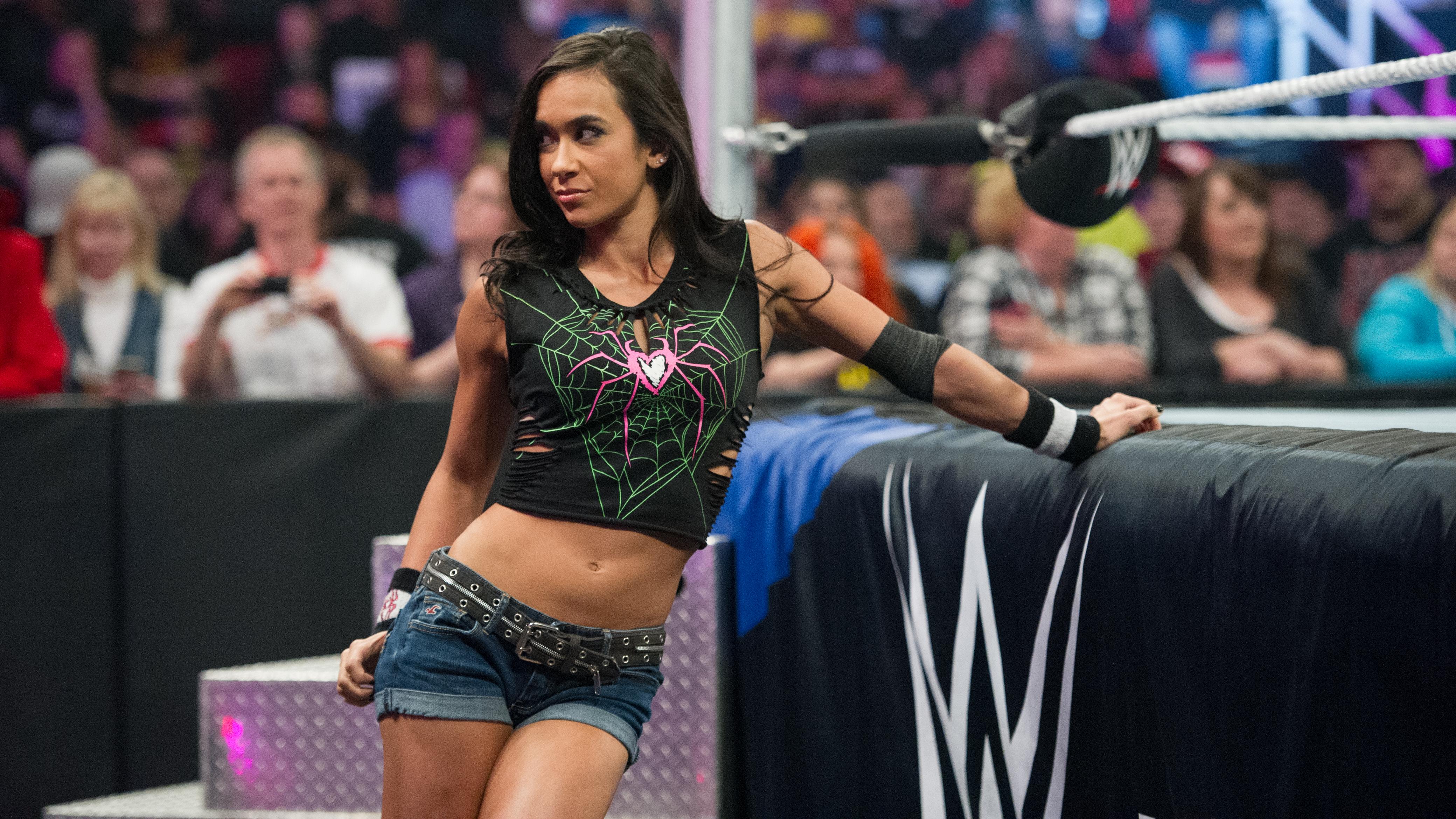 WWE Star CM Punk Reacts to Potential AJ Lee Return After Clash in Paris -  Newsweek, image size:4159x2341