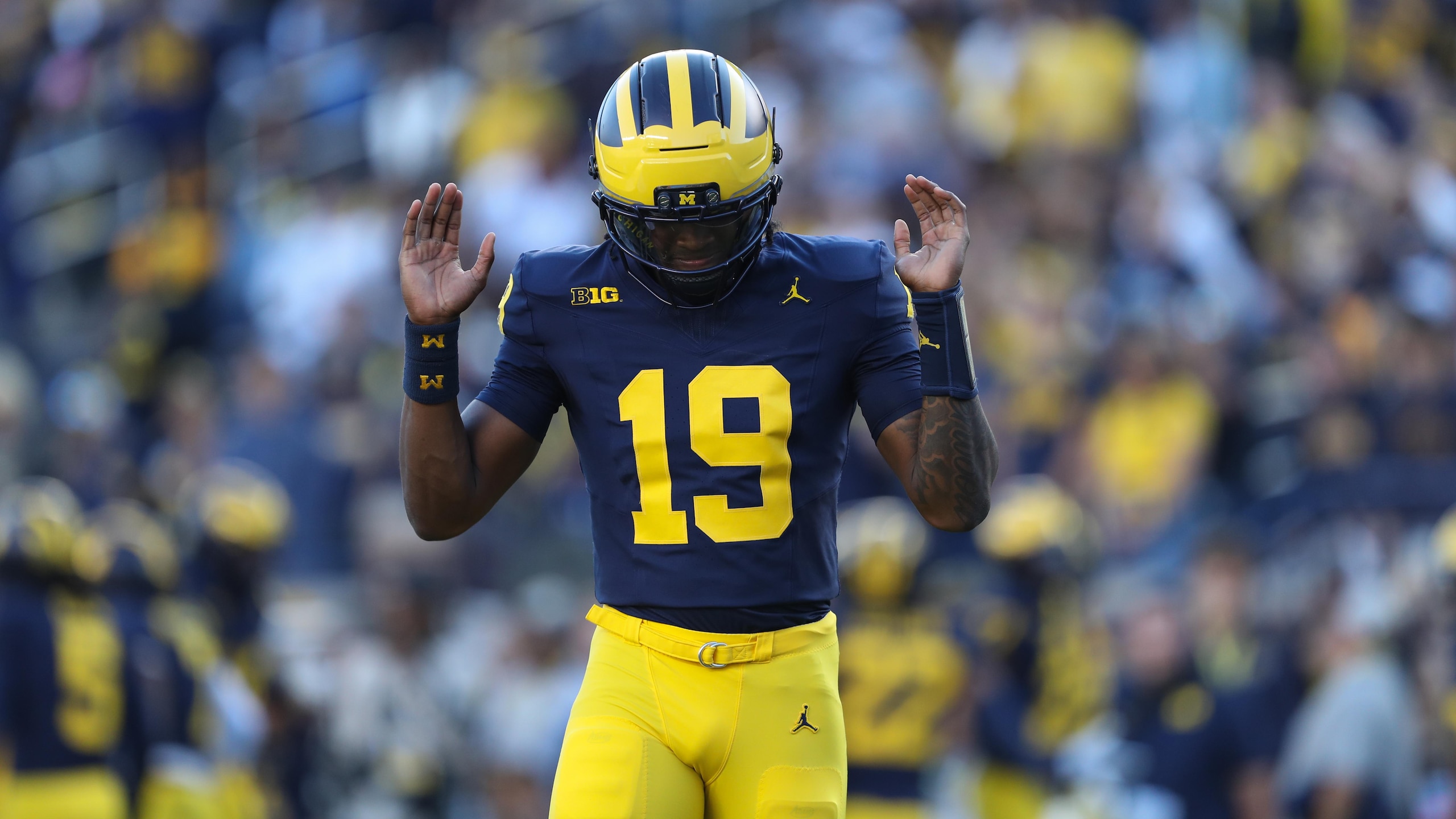 New Mexico v Michigan