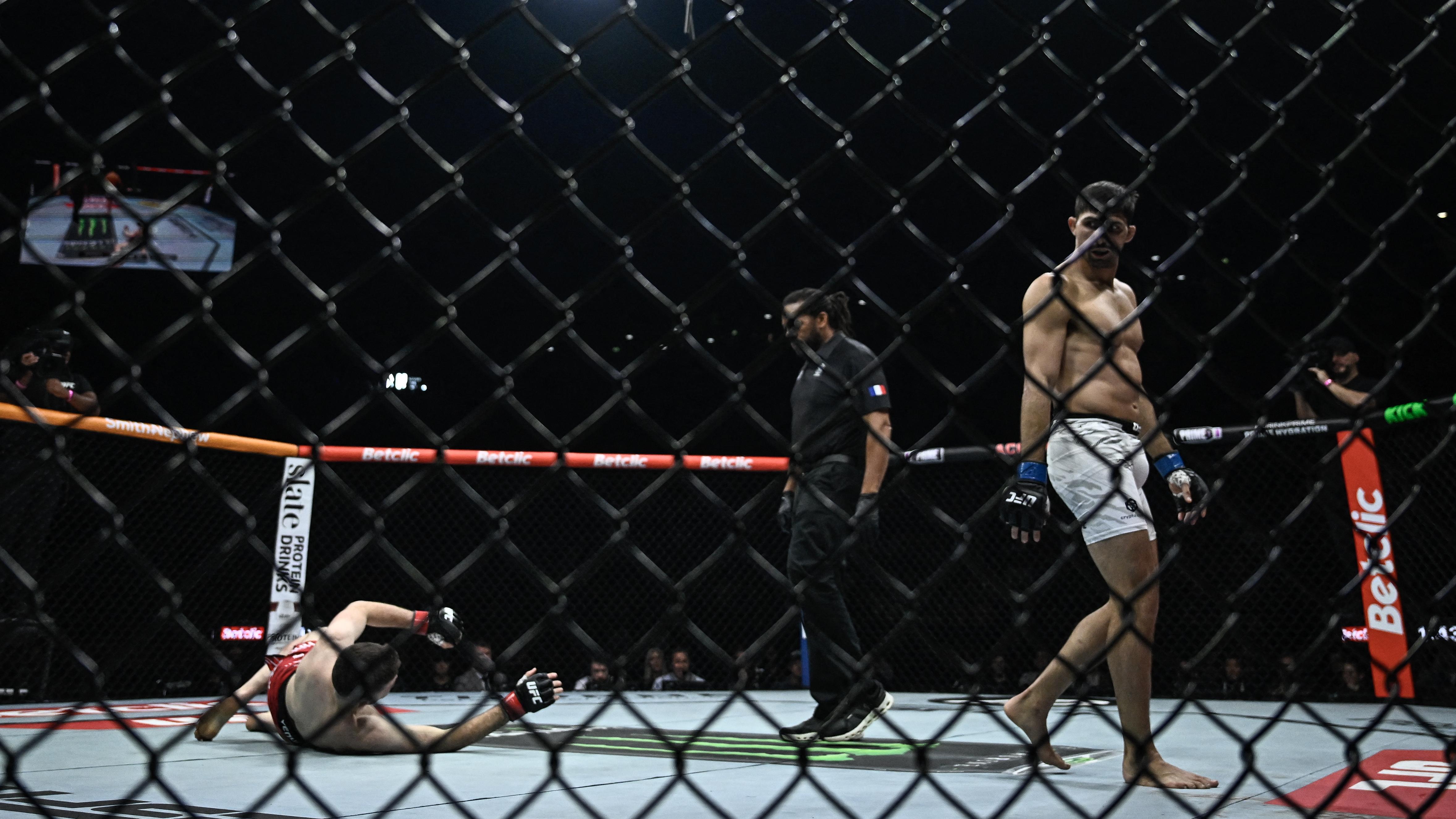 MMA-FRA-UFC-HARDWICK-FERNANDES