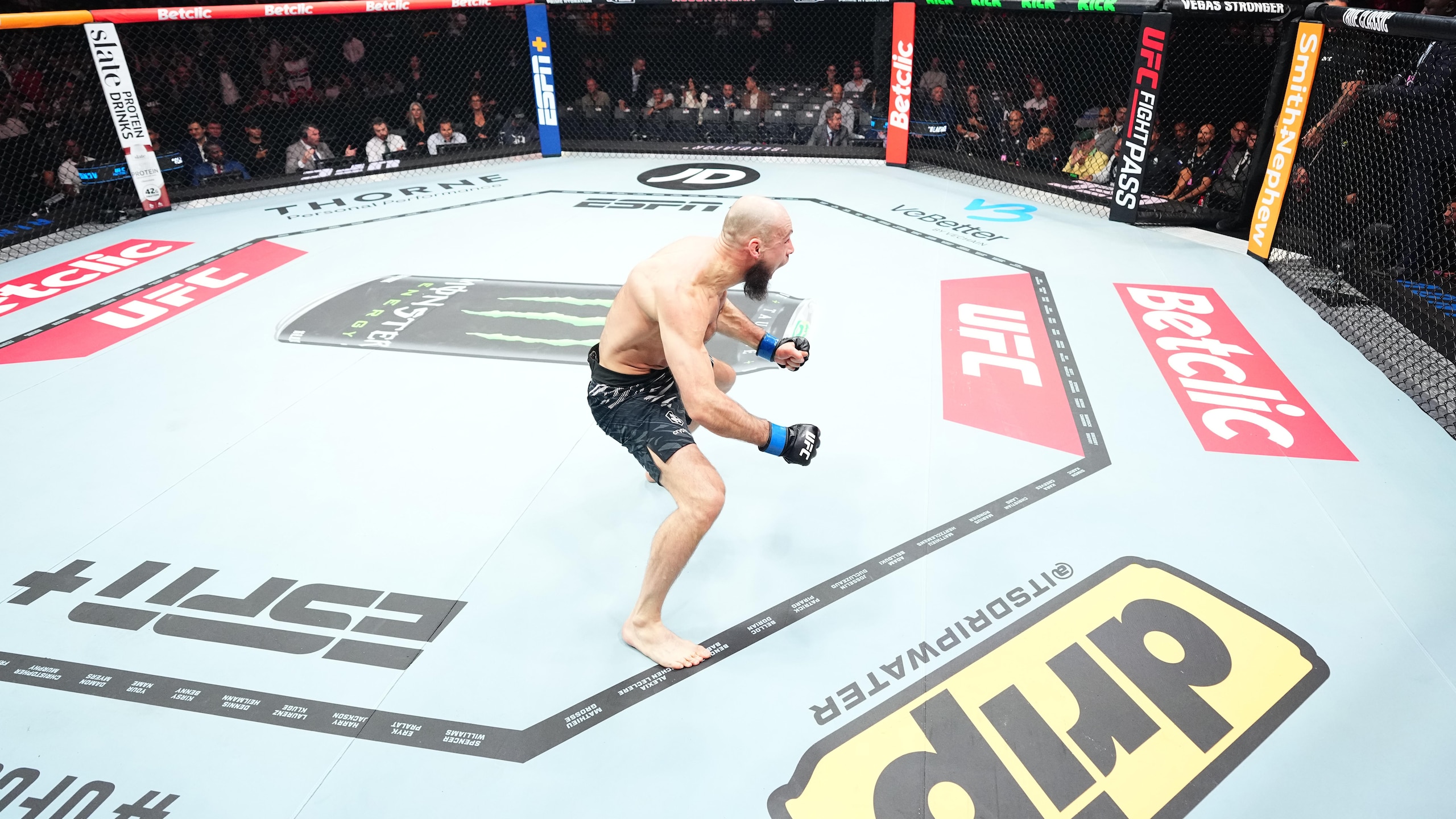 UFC Fight Night: Gustafsson v Fakhretdinov