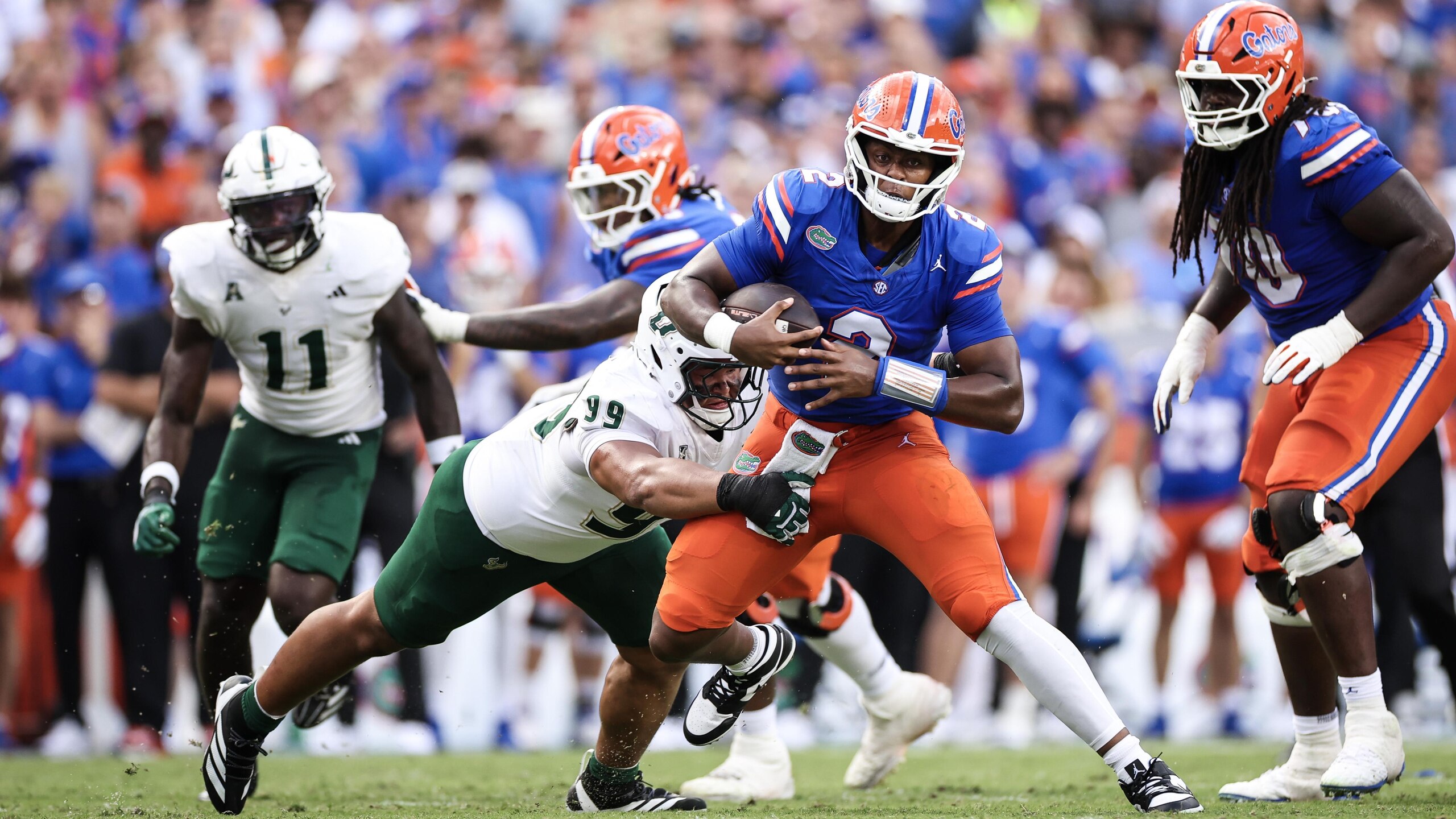 USF v Florida
