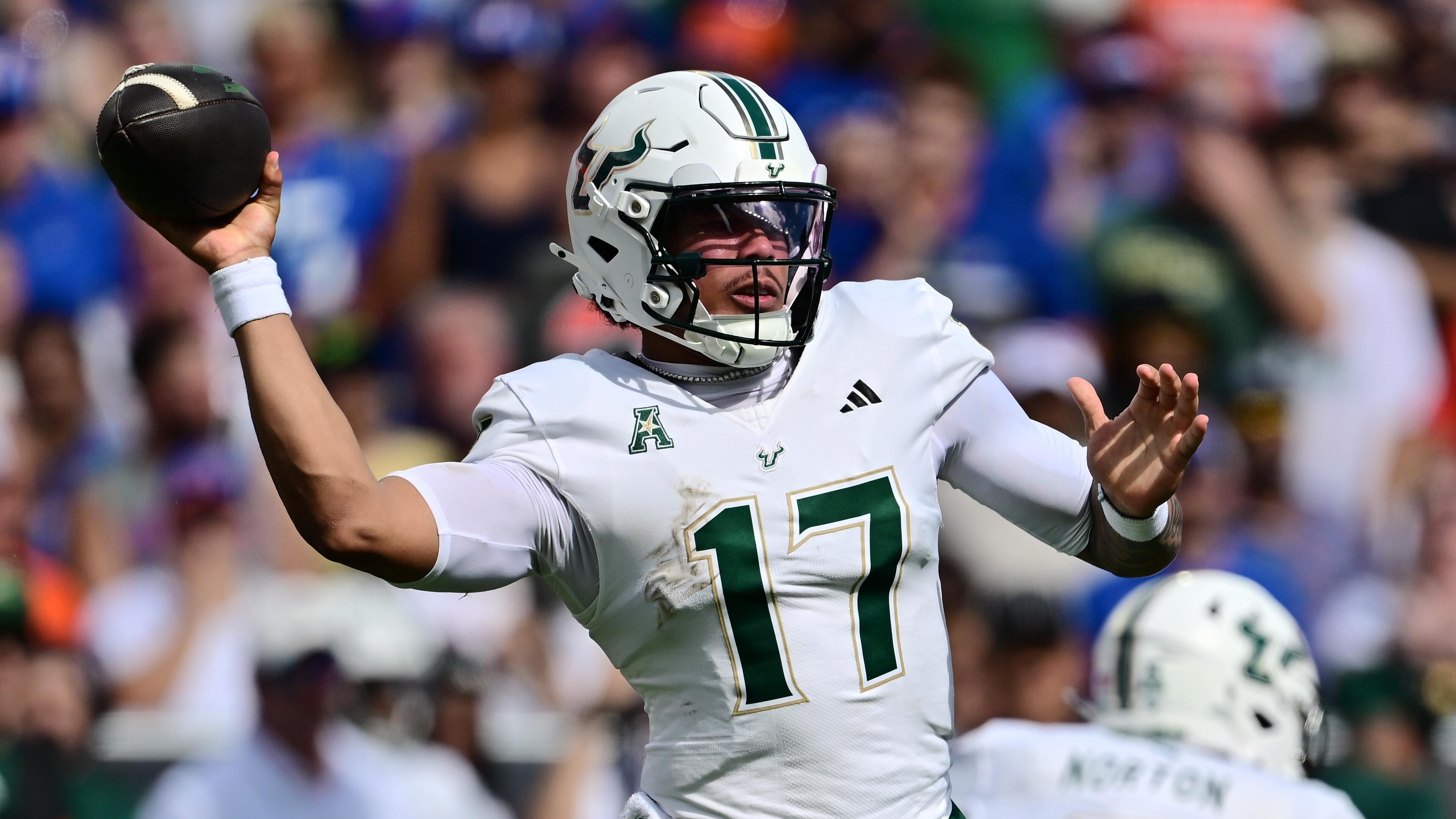USF v Florida USF v Florida