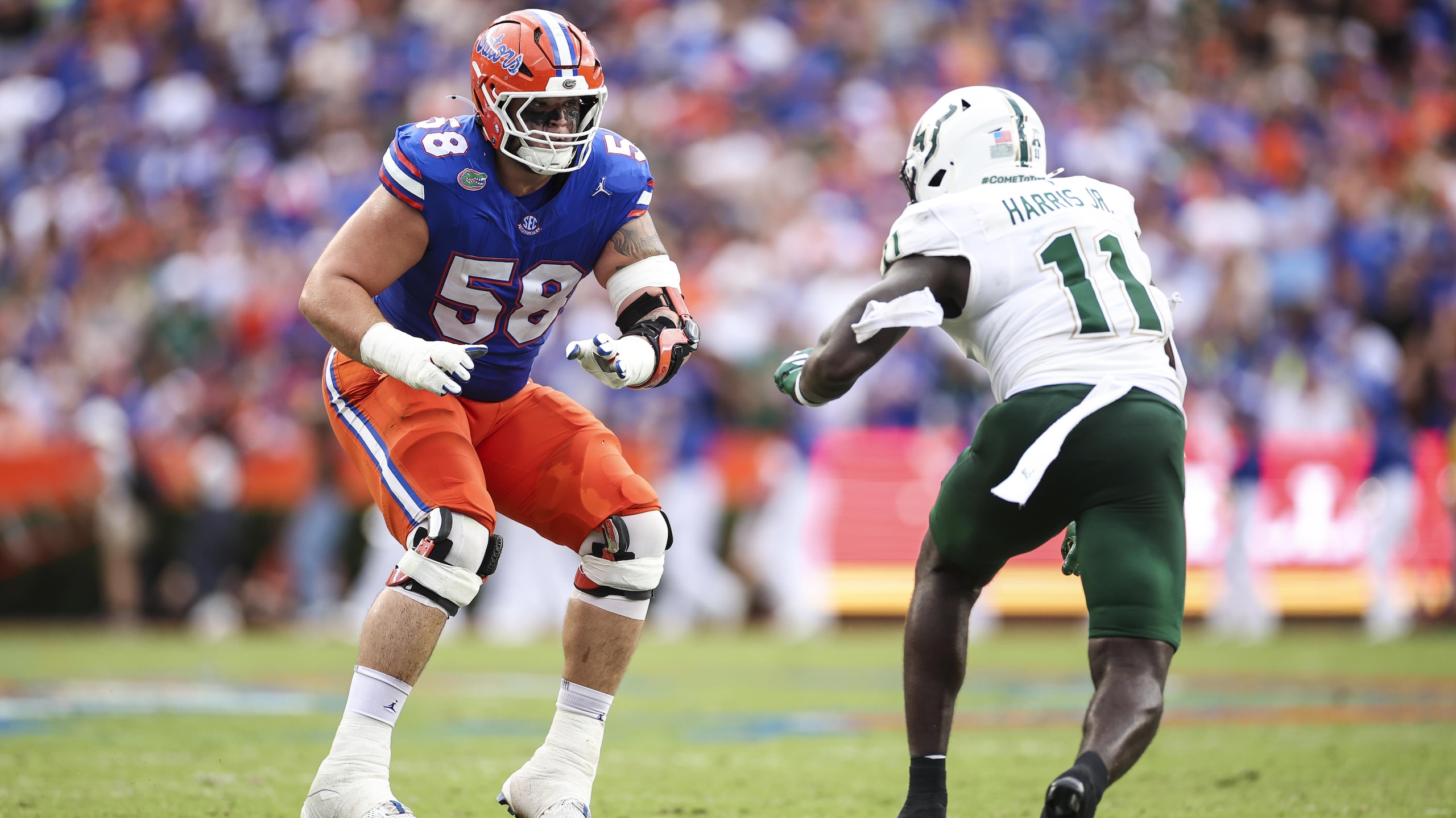 USF v Florida USF v Florida