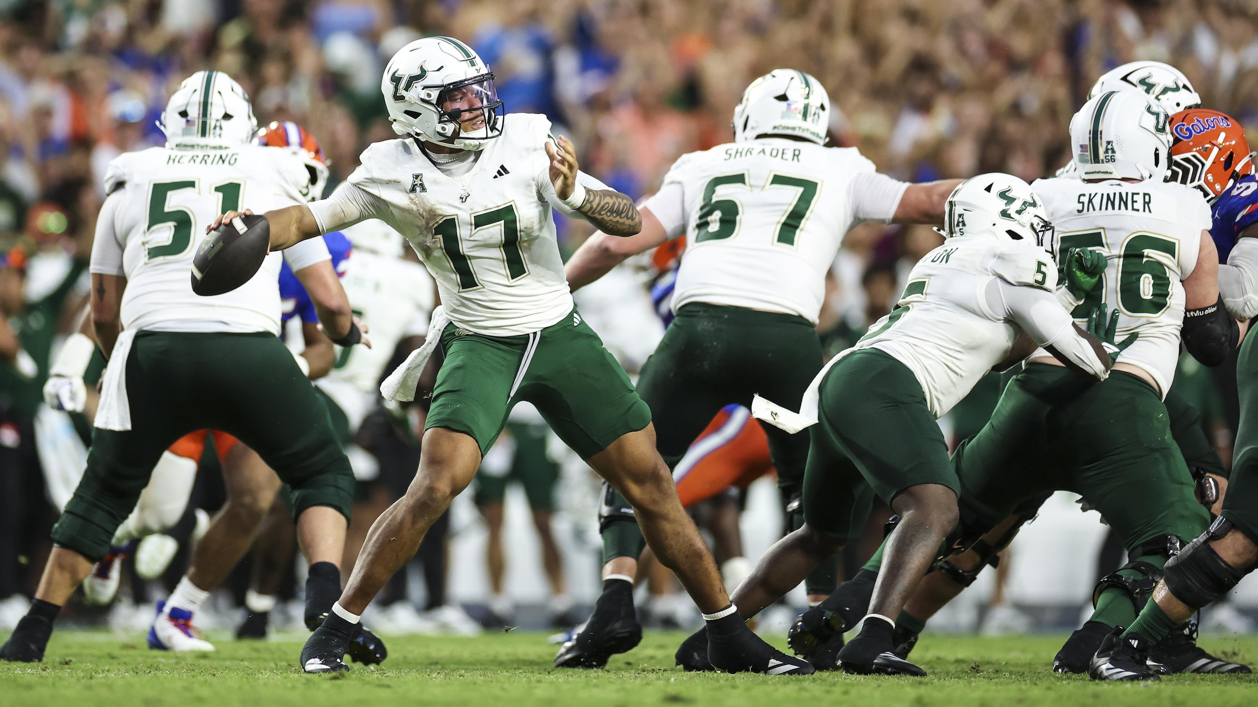USF v Florida