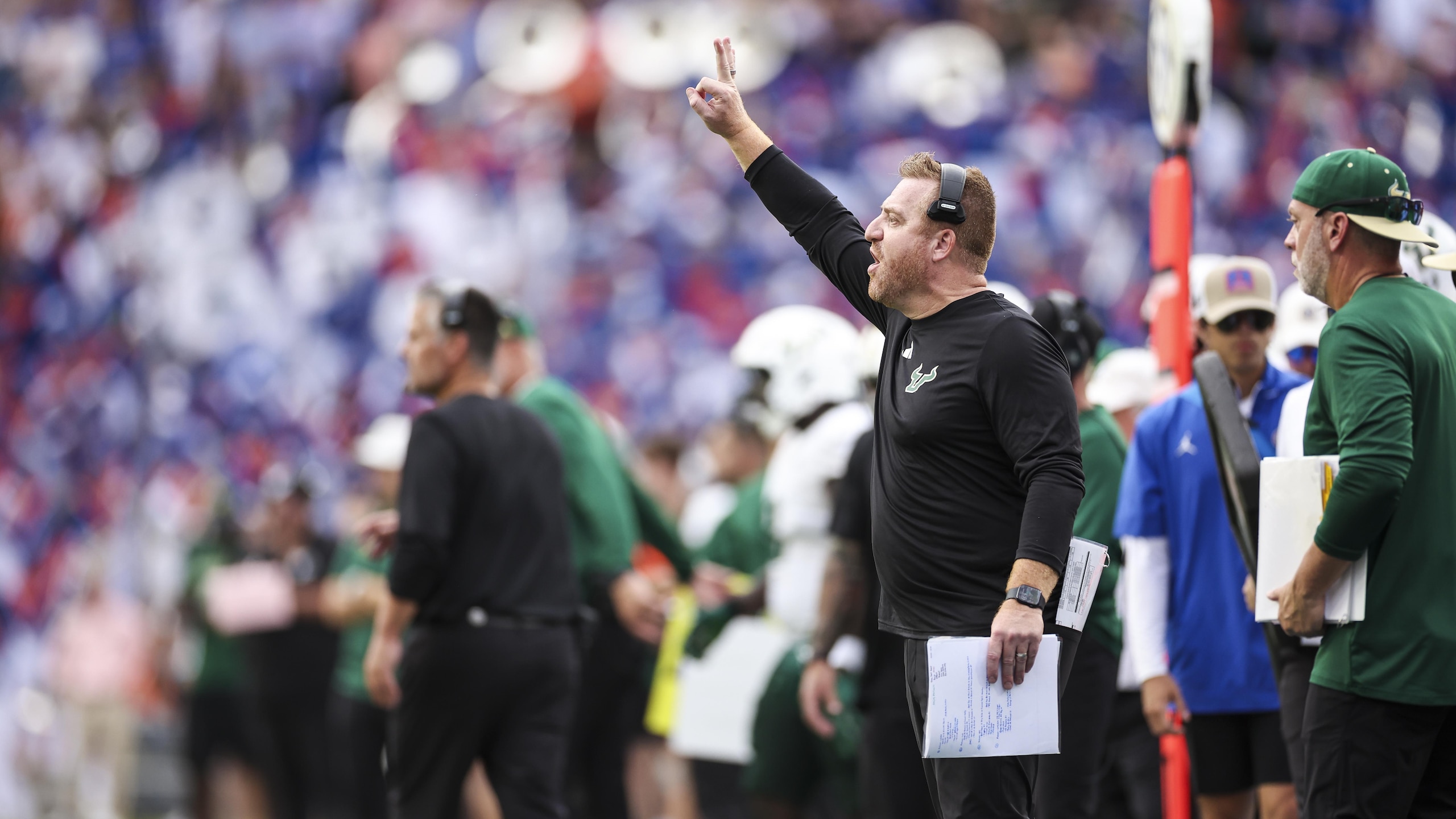 USF v Florida