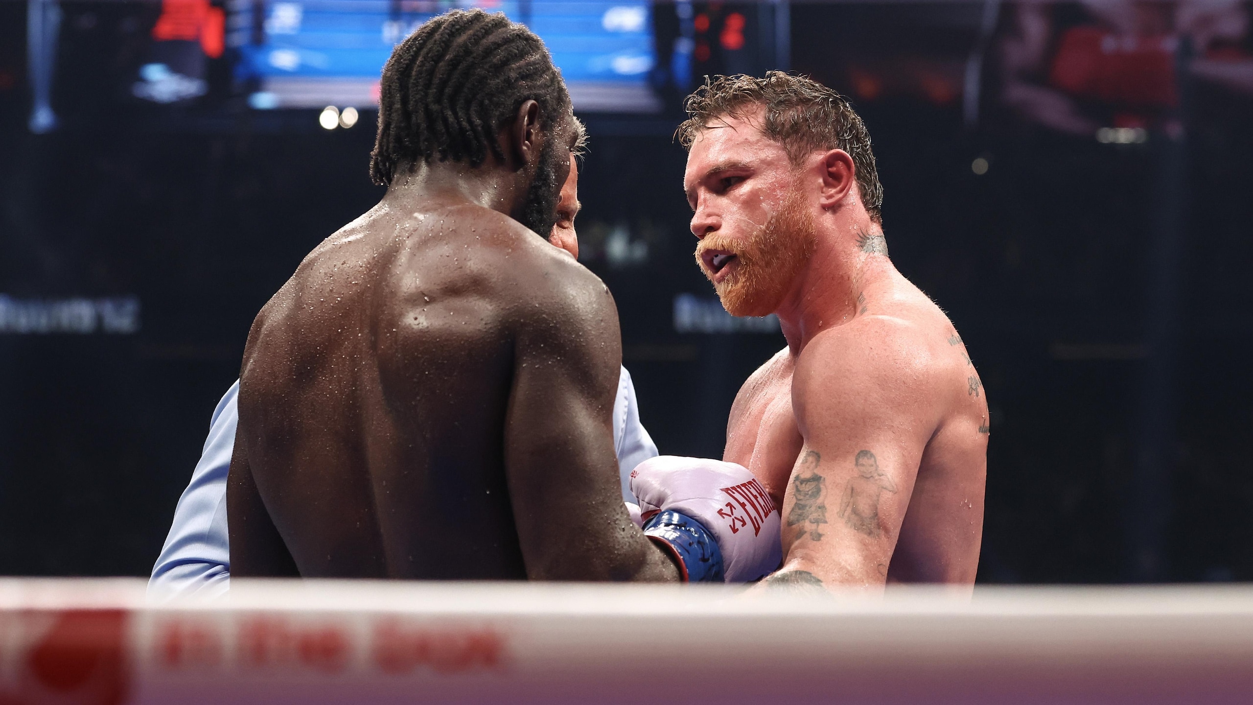 Canelo v Crawford