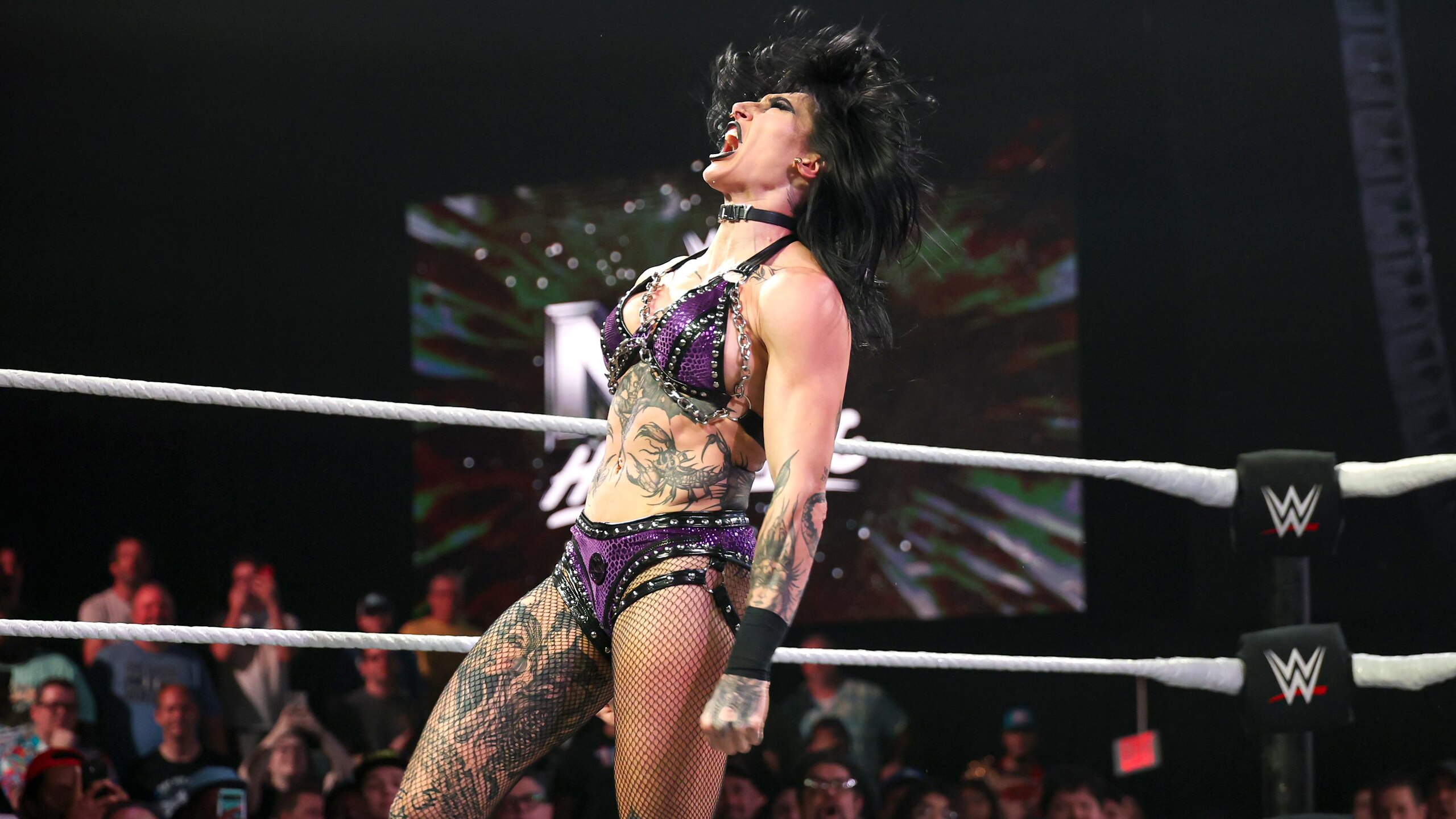 WWE Archive