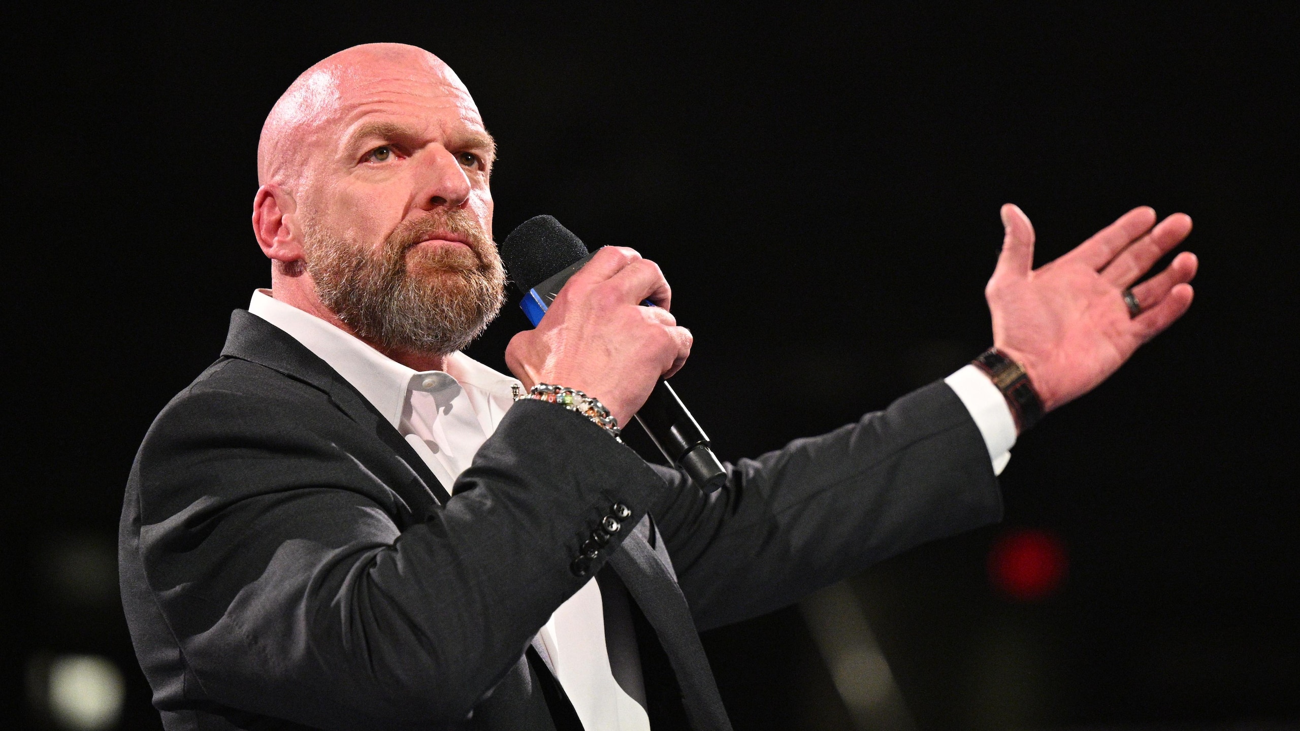 WWE - Wrestlepalooza