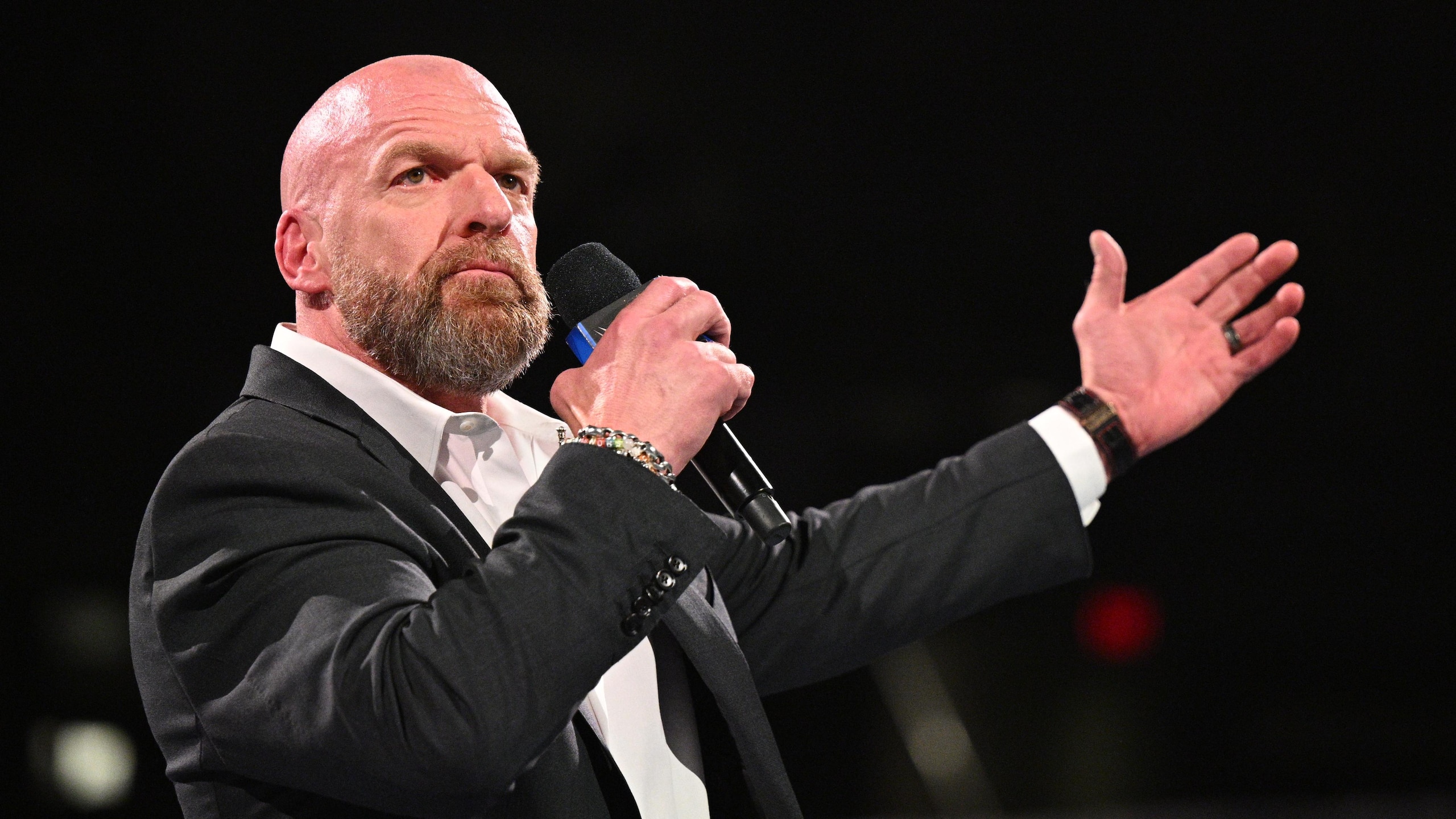 WWE - Wrestlepalooza WWE - Wrestlepalooza