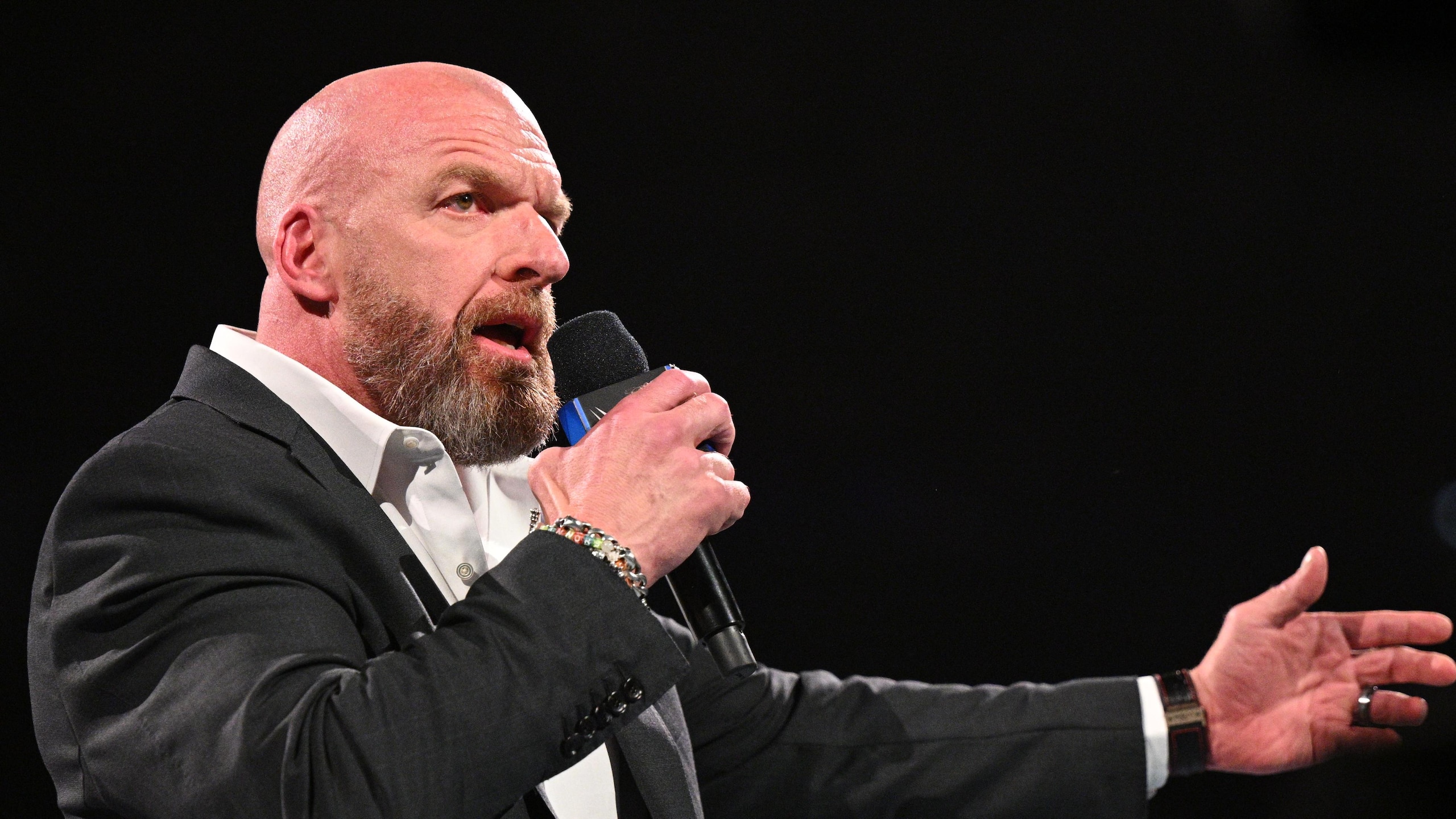 WWE - Wrestlepalooza