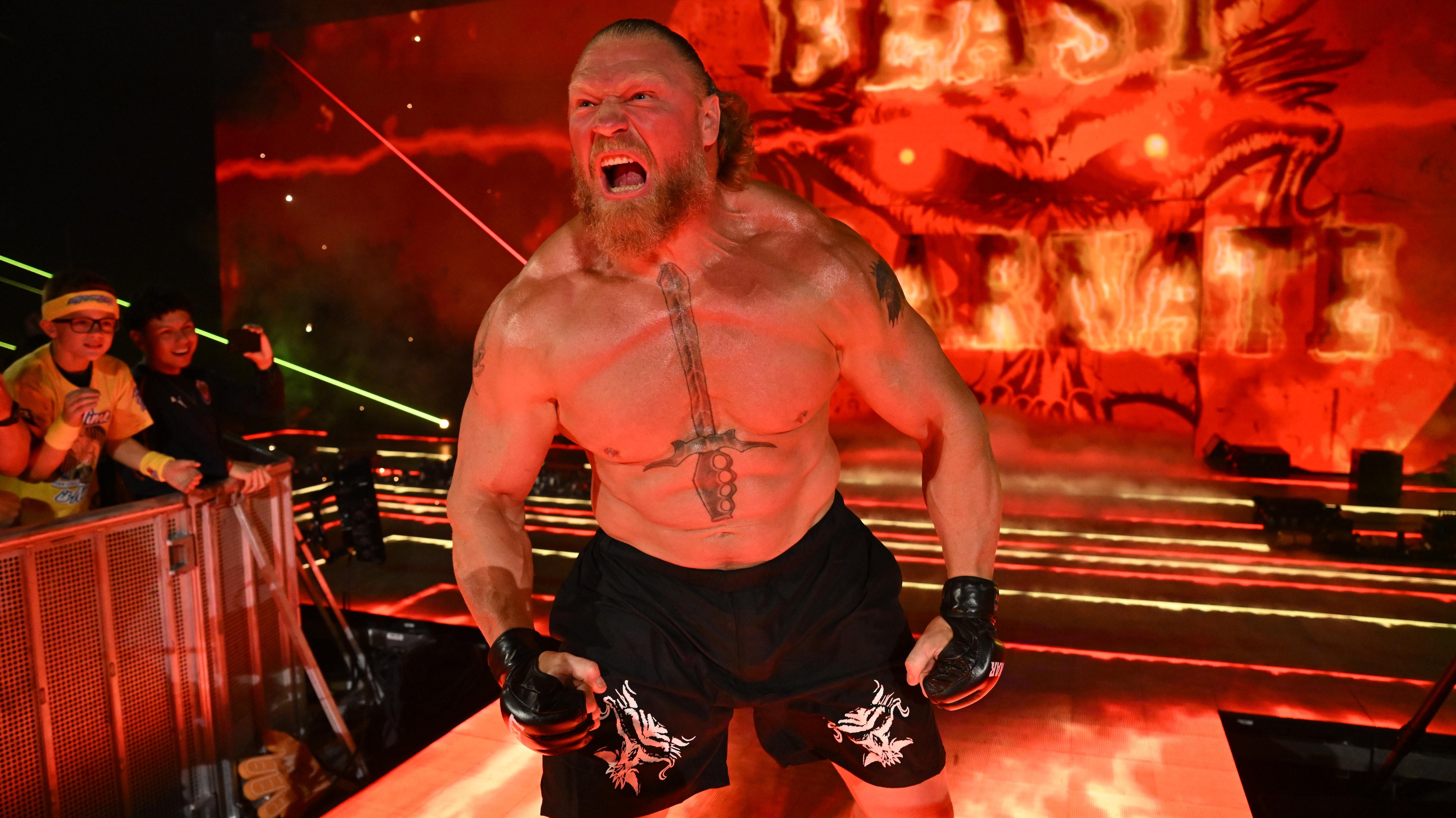 WWE - Wrestlepalooza