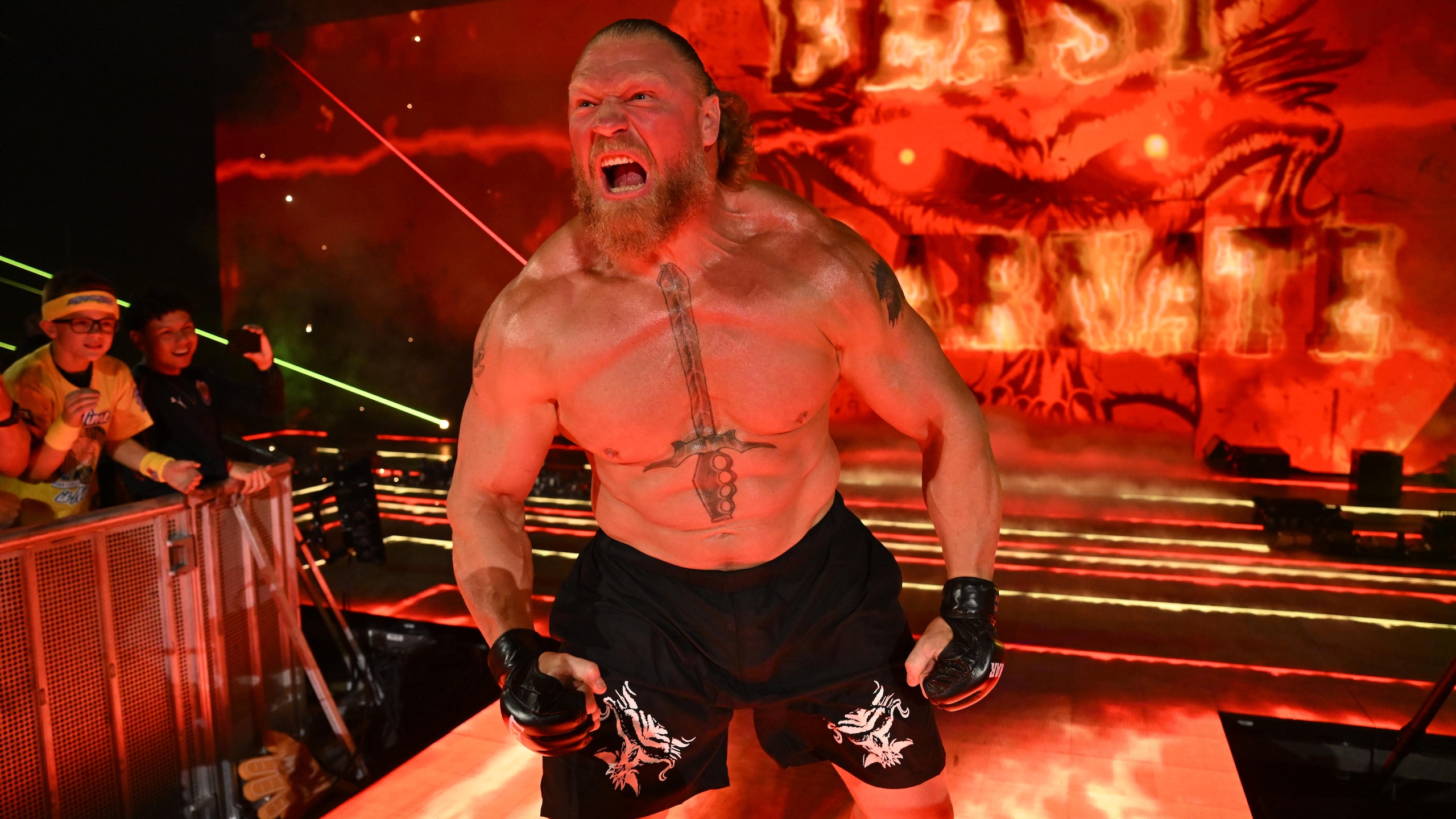 WWE - Wrestlepalooza WWE - Wrestlepalooza