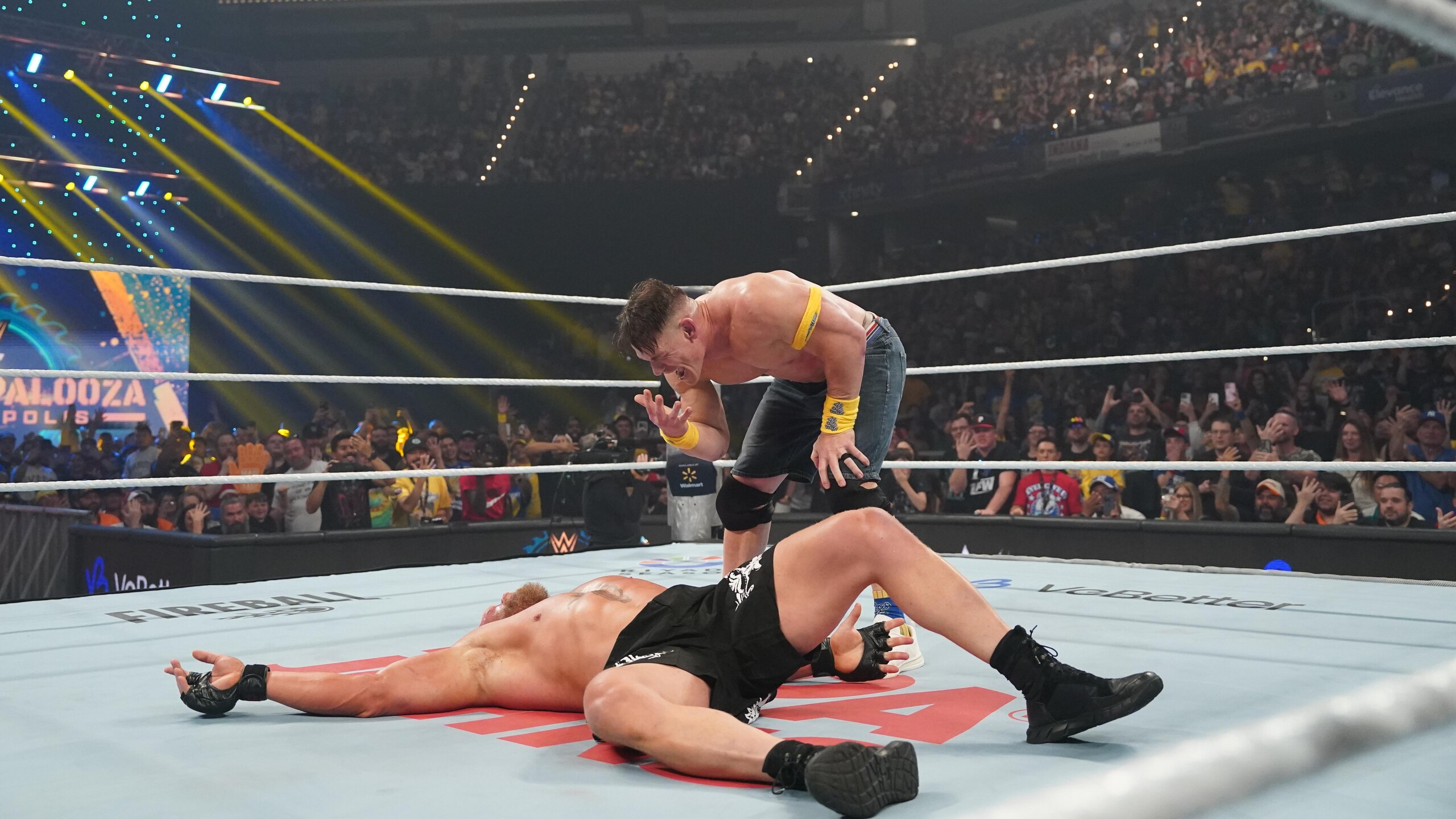 WWE - Wrestlepalooza
