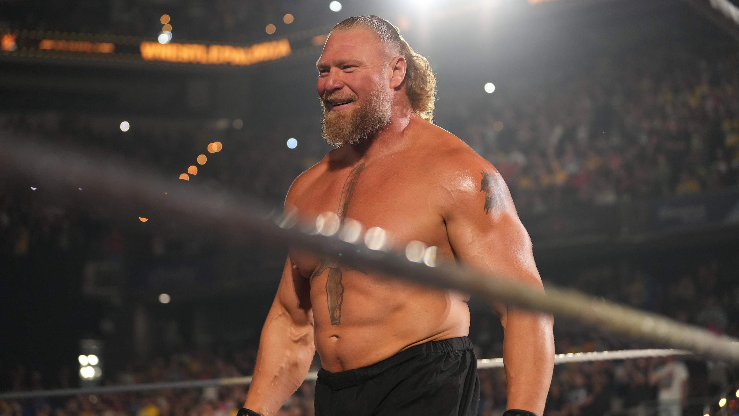 WWE - Wrestlepalooza WWE - Wrestlepalooza