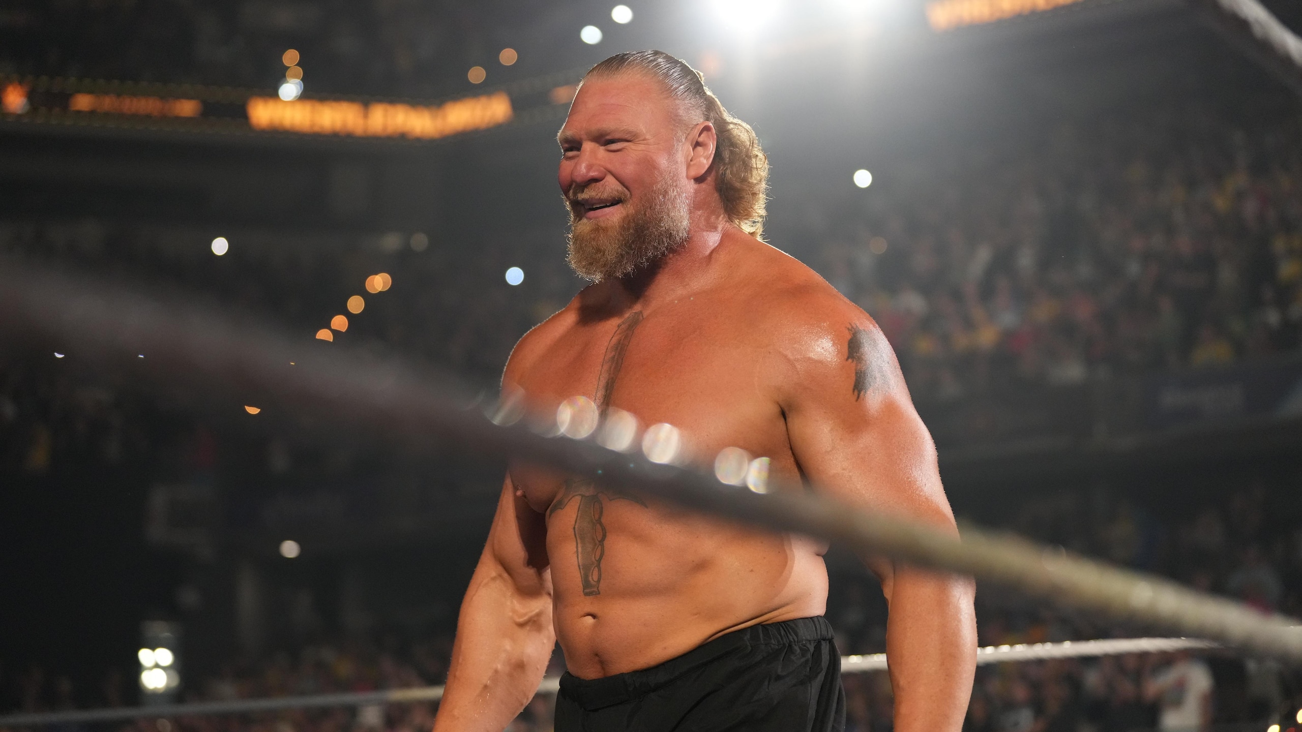 WWE - Wrestlepalooza