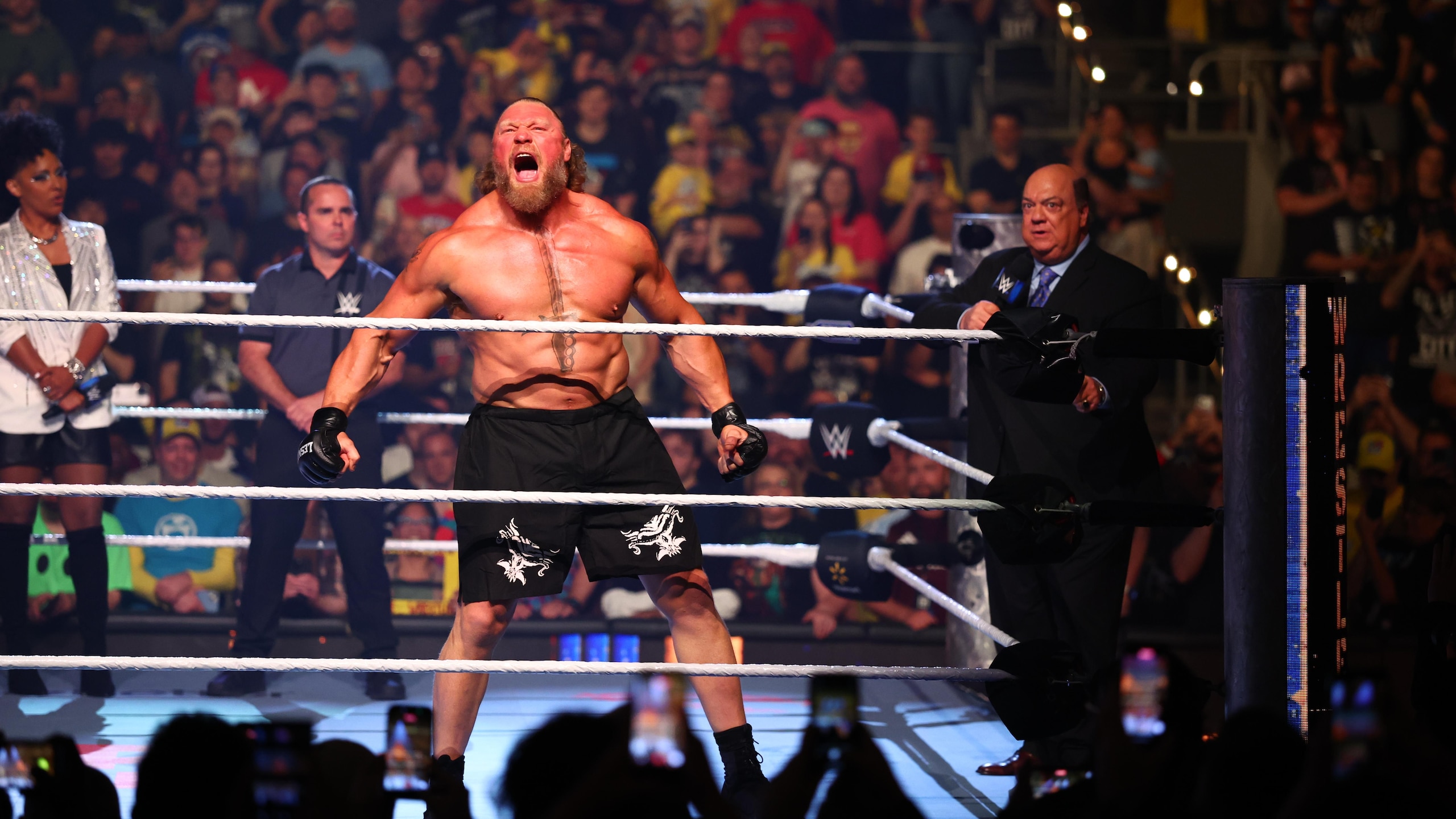 WWE - Wrestlepalooza