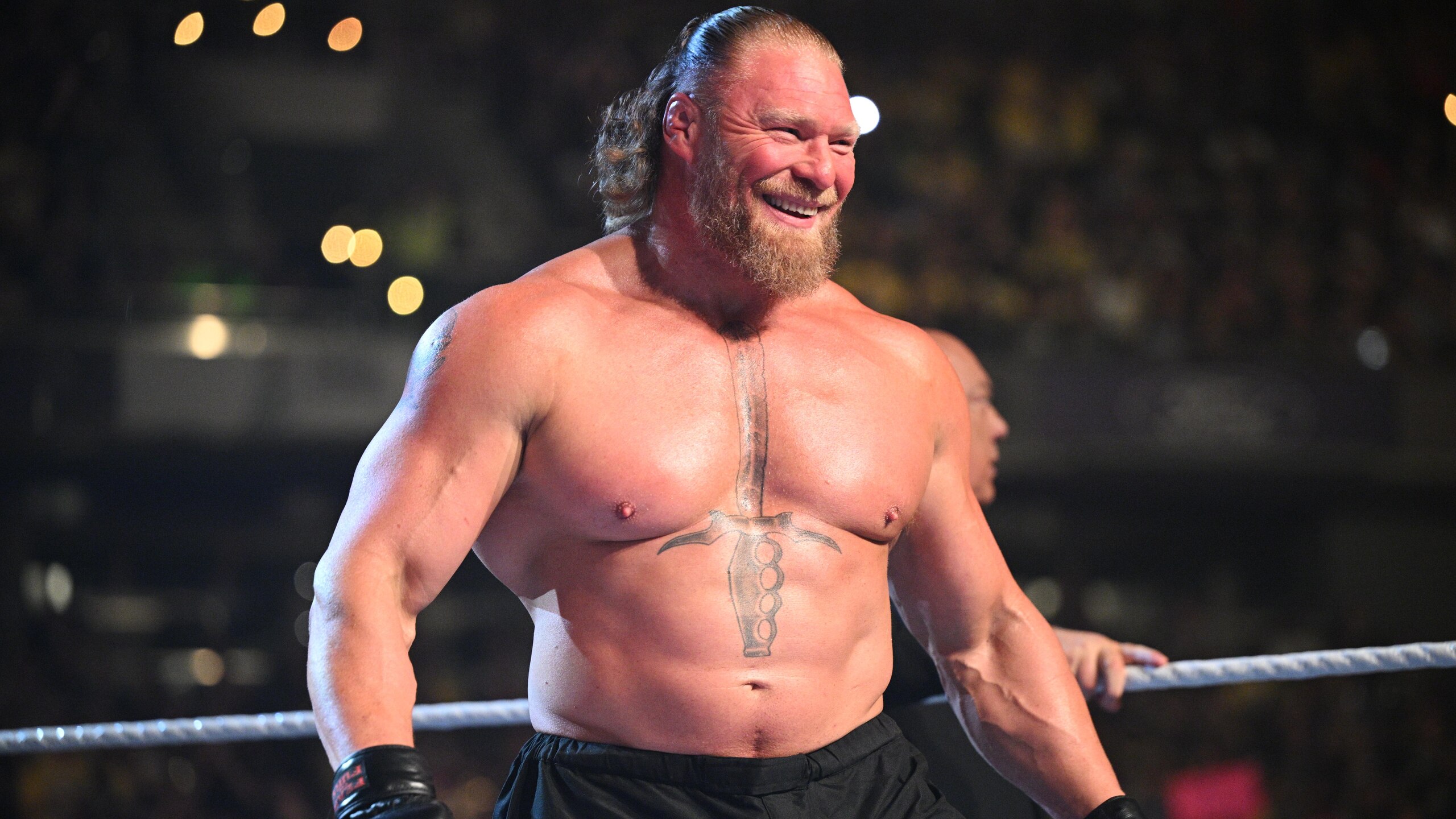 WWE - Wrestlepalooza