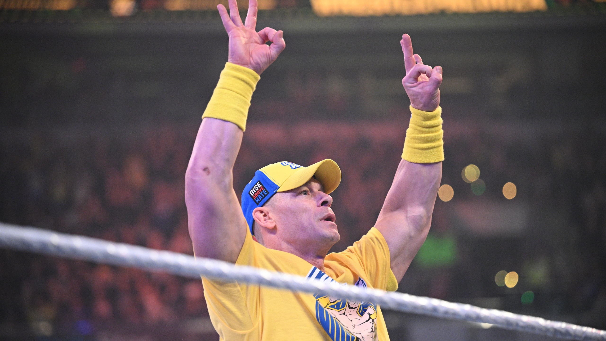 WWE - Wrestlepalooza