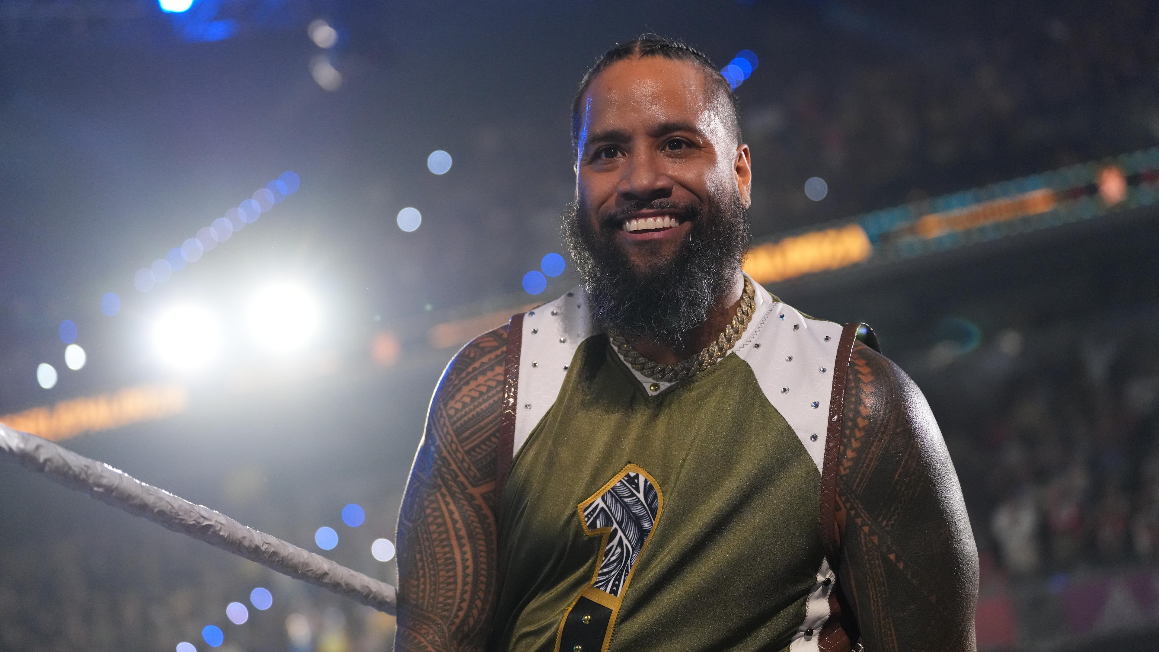WWE - Wrestlepalooza