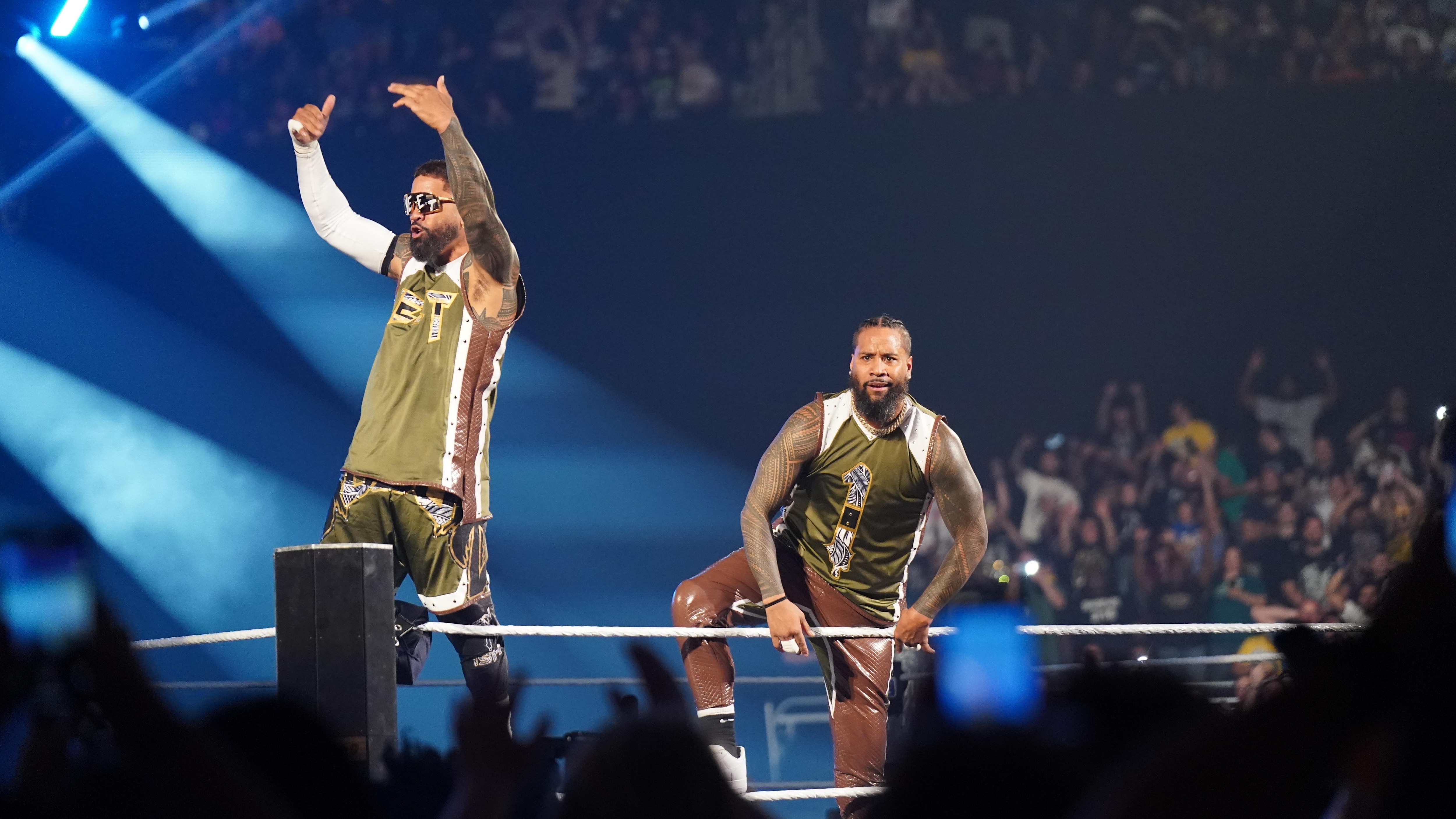 WWE - Wrestlepalooza