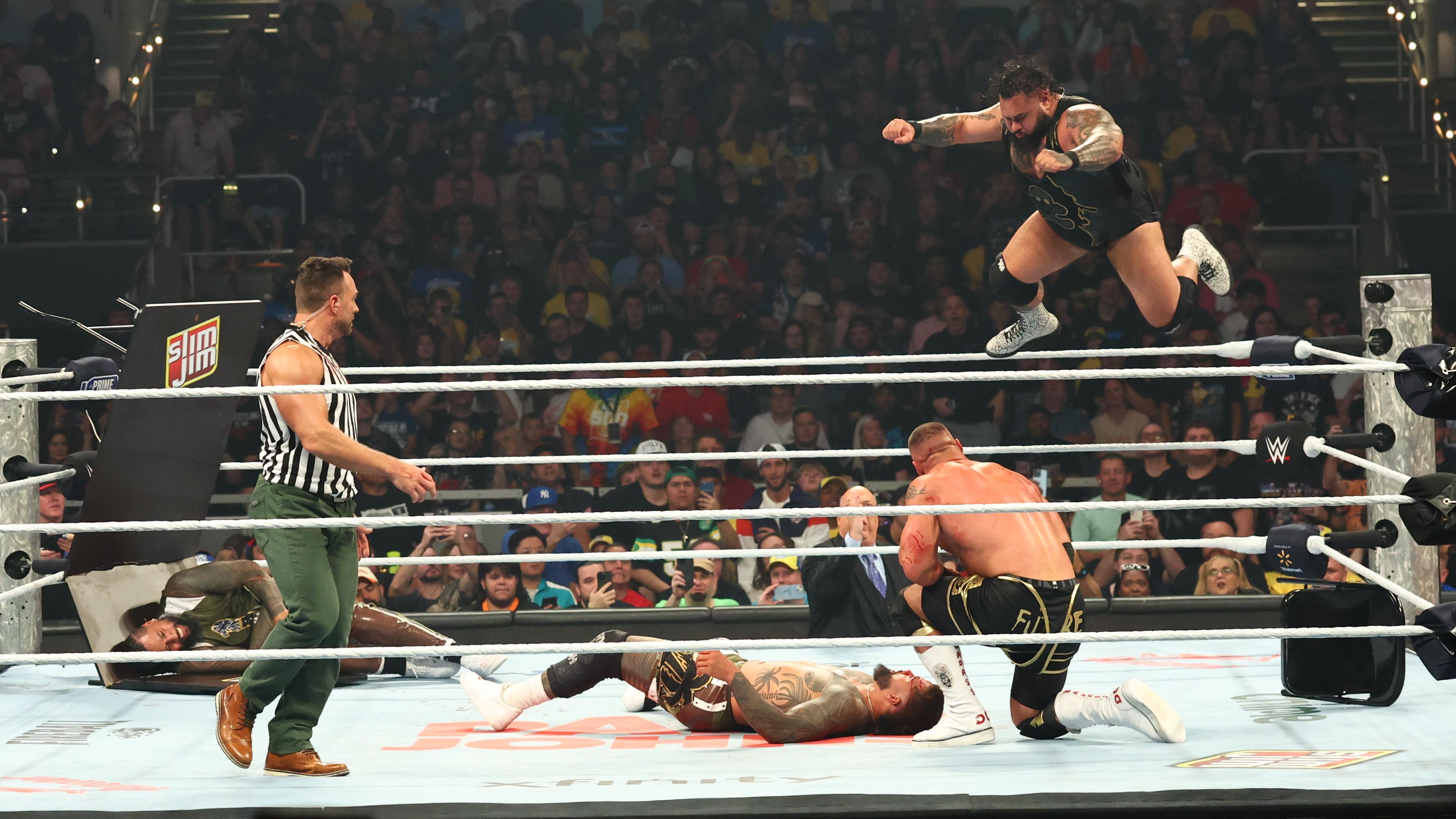 WWE - Wrestlepalooza