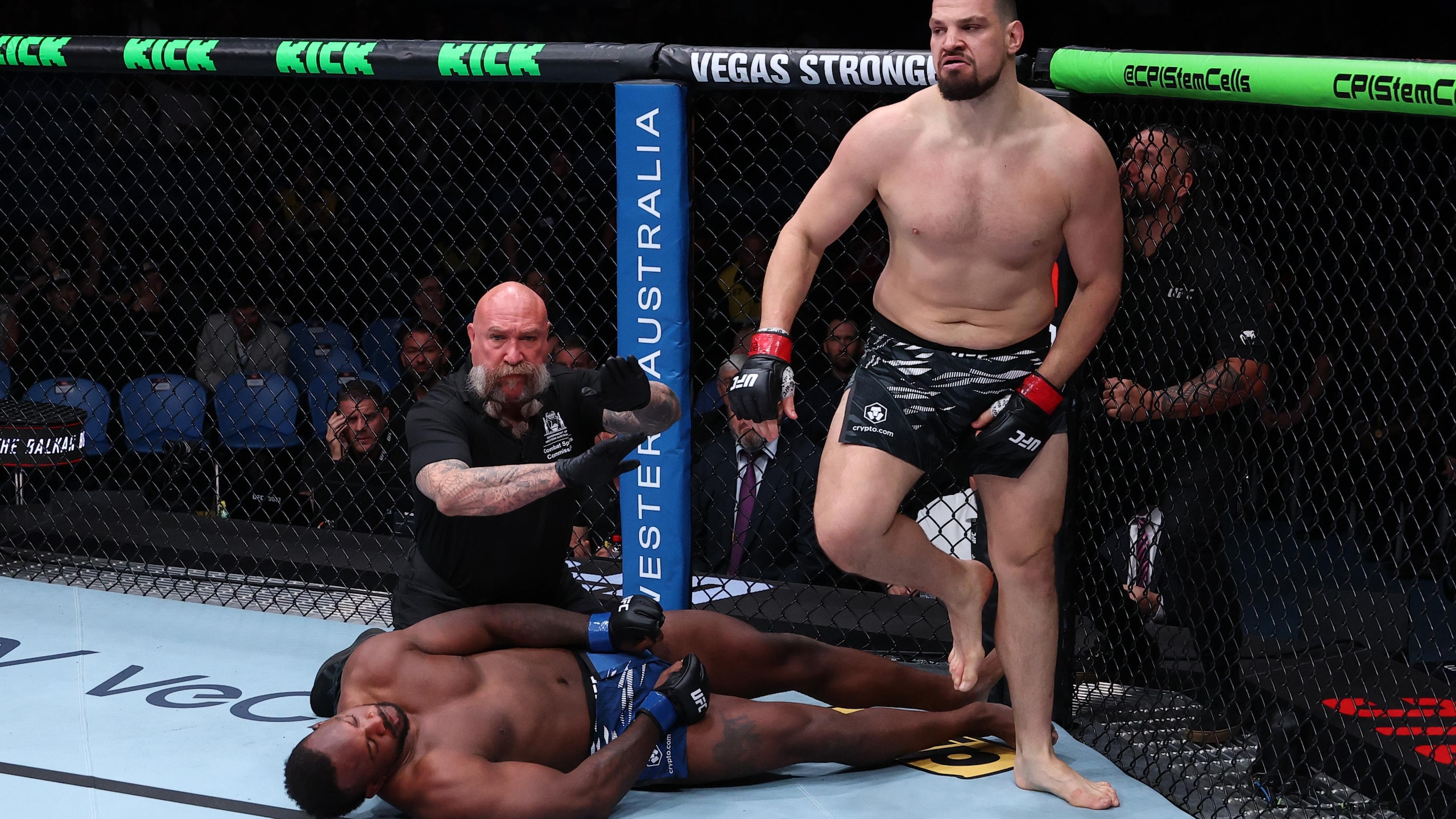 UFC Fight Night: Pericic v Ellison
