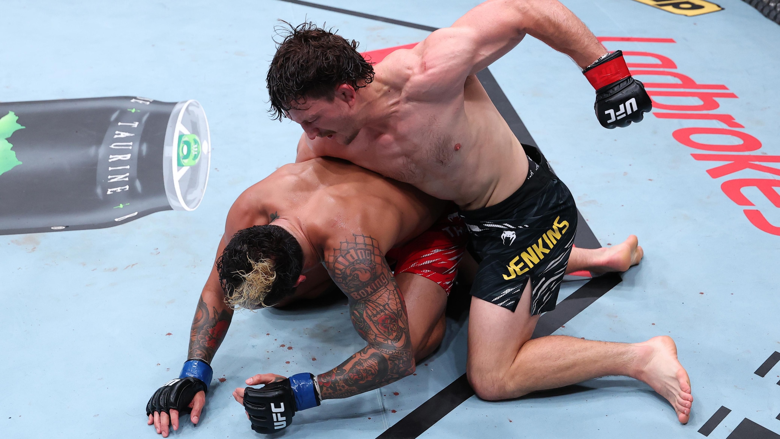 UFC Fight Night: Jenkins v Taveras