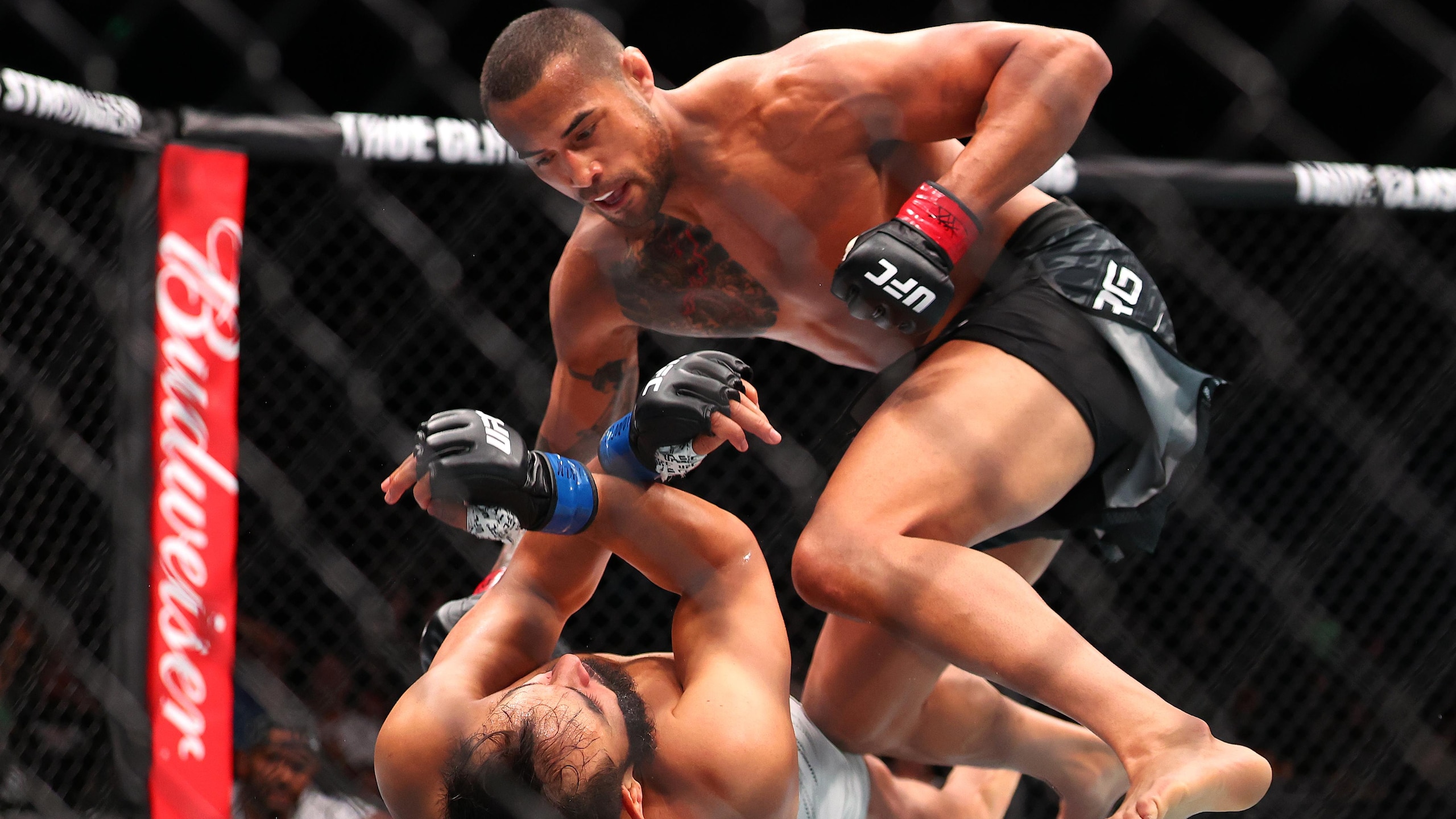 UFC Fight Night: Ulberg vs Reyes UFC Fight Night: Ulberg vs Reyes