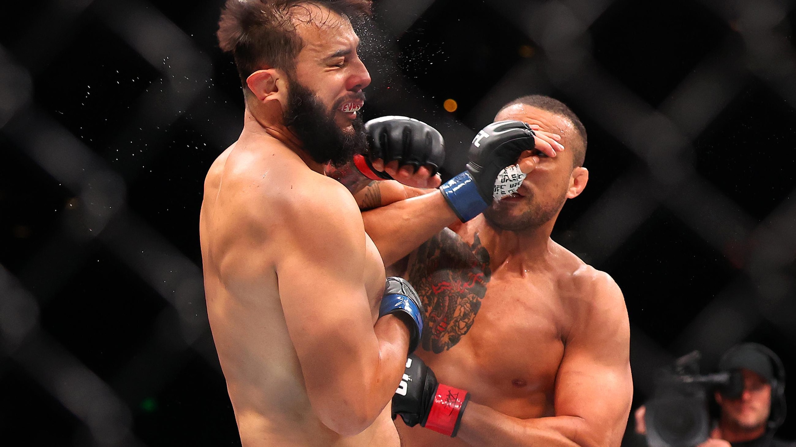 UFC Fight Night: Ulberg vs Reyes